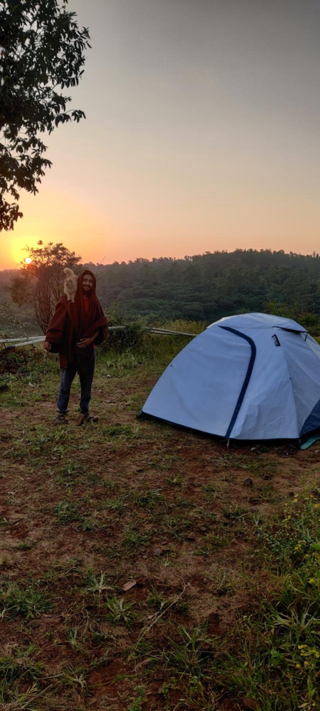 Tent photo 2