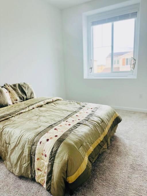 One-Bedroom House photo 1