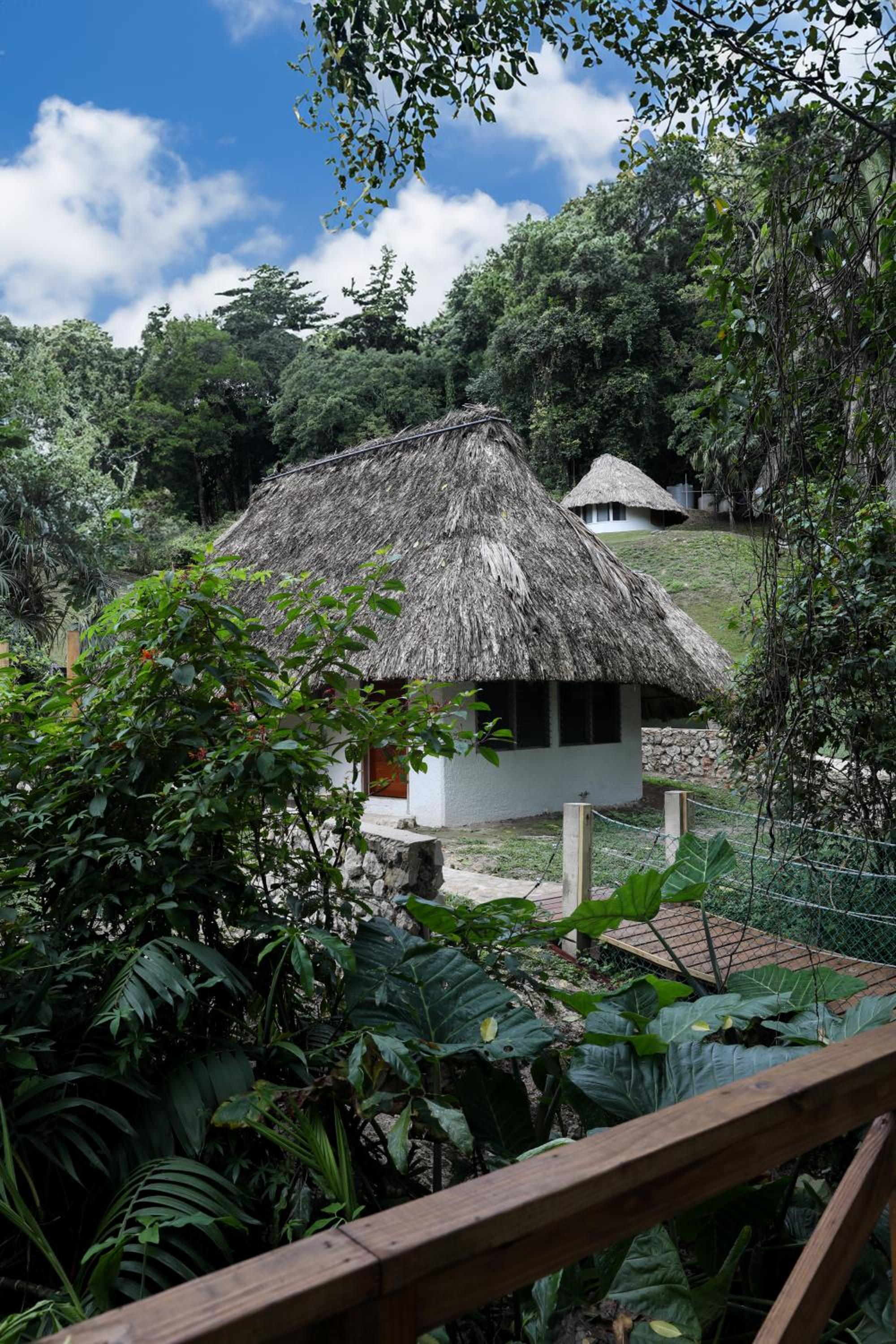 Suite with Terrace photo 3