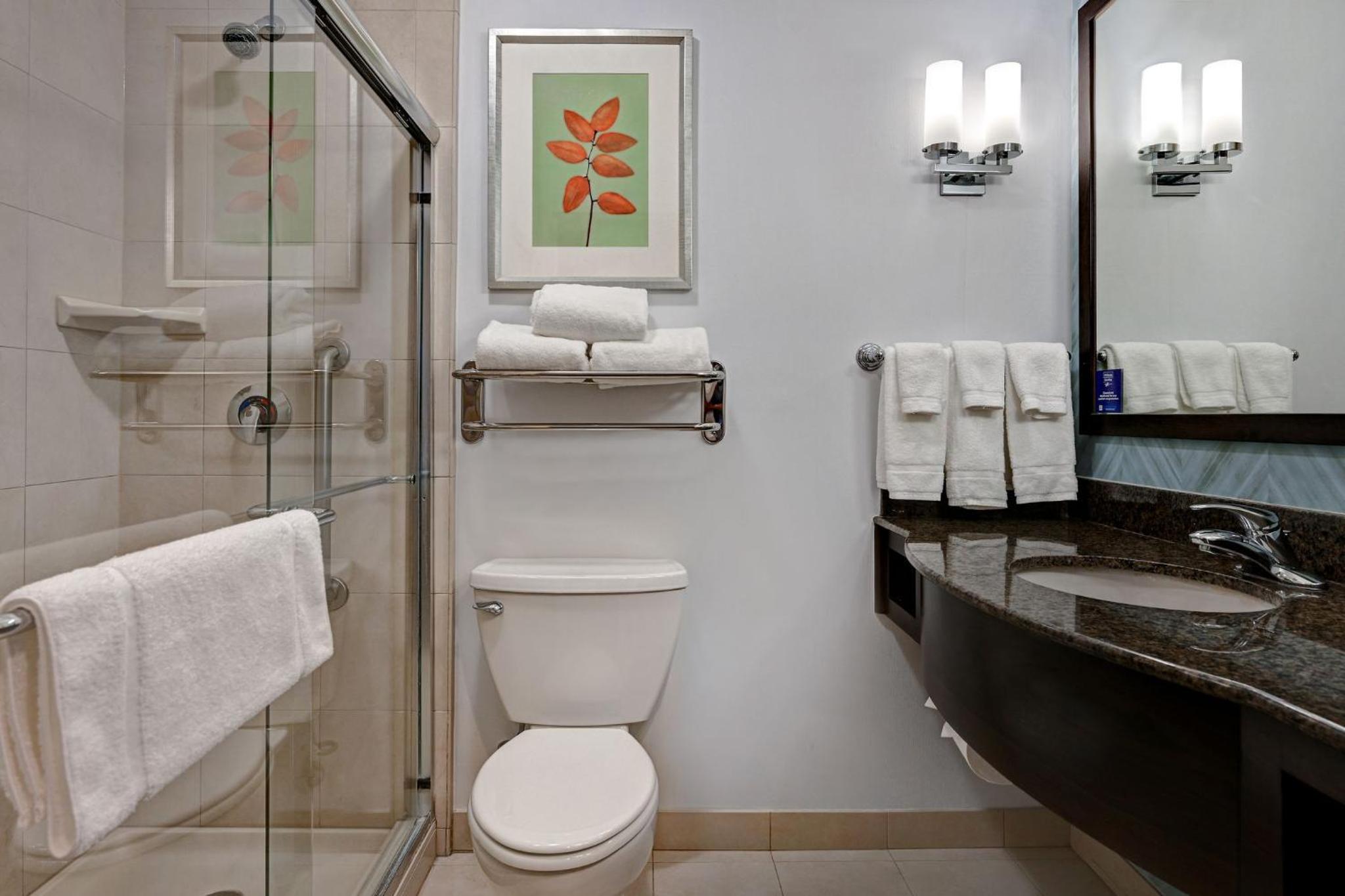 King Room with Roll-In Shower - Mobility/Hearing Accessible photo 3