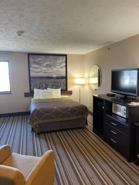 1 Queen and 2 Double Beds, Studio Suite, Non-Smoking - Photo 2