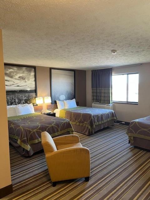 1 Queen and 2 Double Beds, Studio Suite, Non-Smoking - Photo 3
