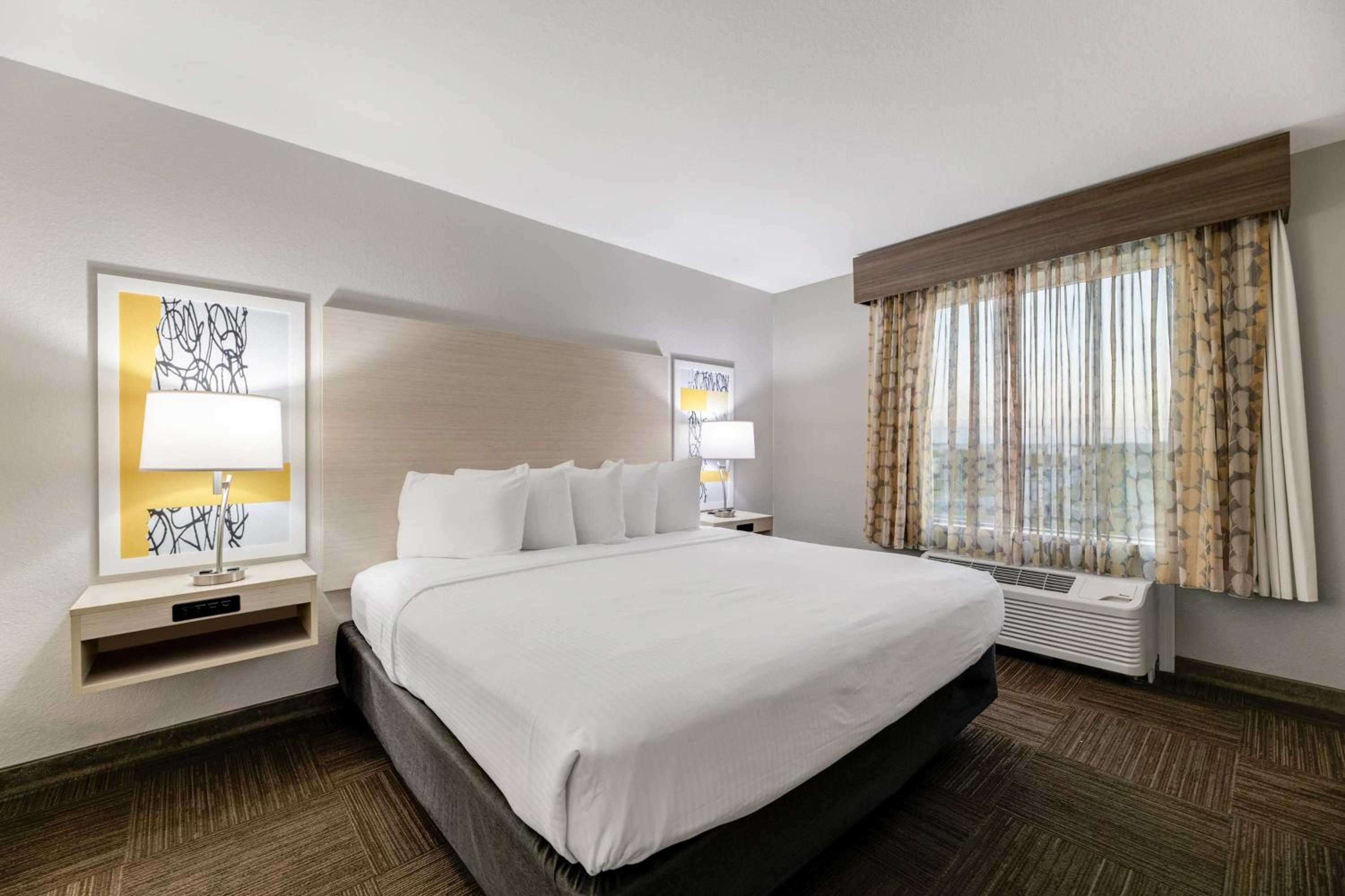 Deluxe King Suite with Sofa Bed - Photo 1