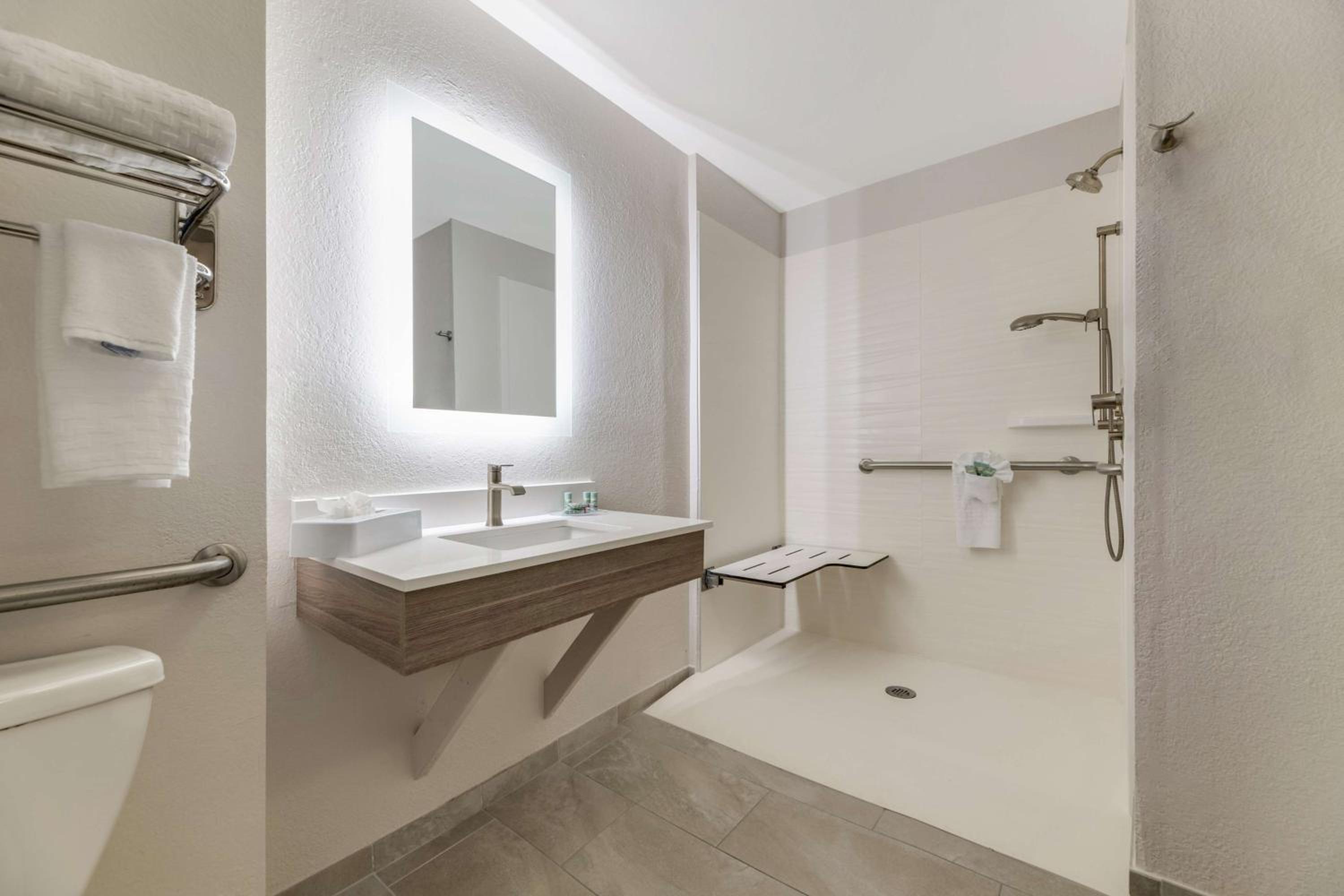 King Room with Roll-In Shower - Mobility Access - Photo 4