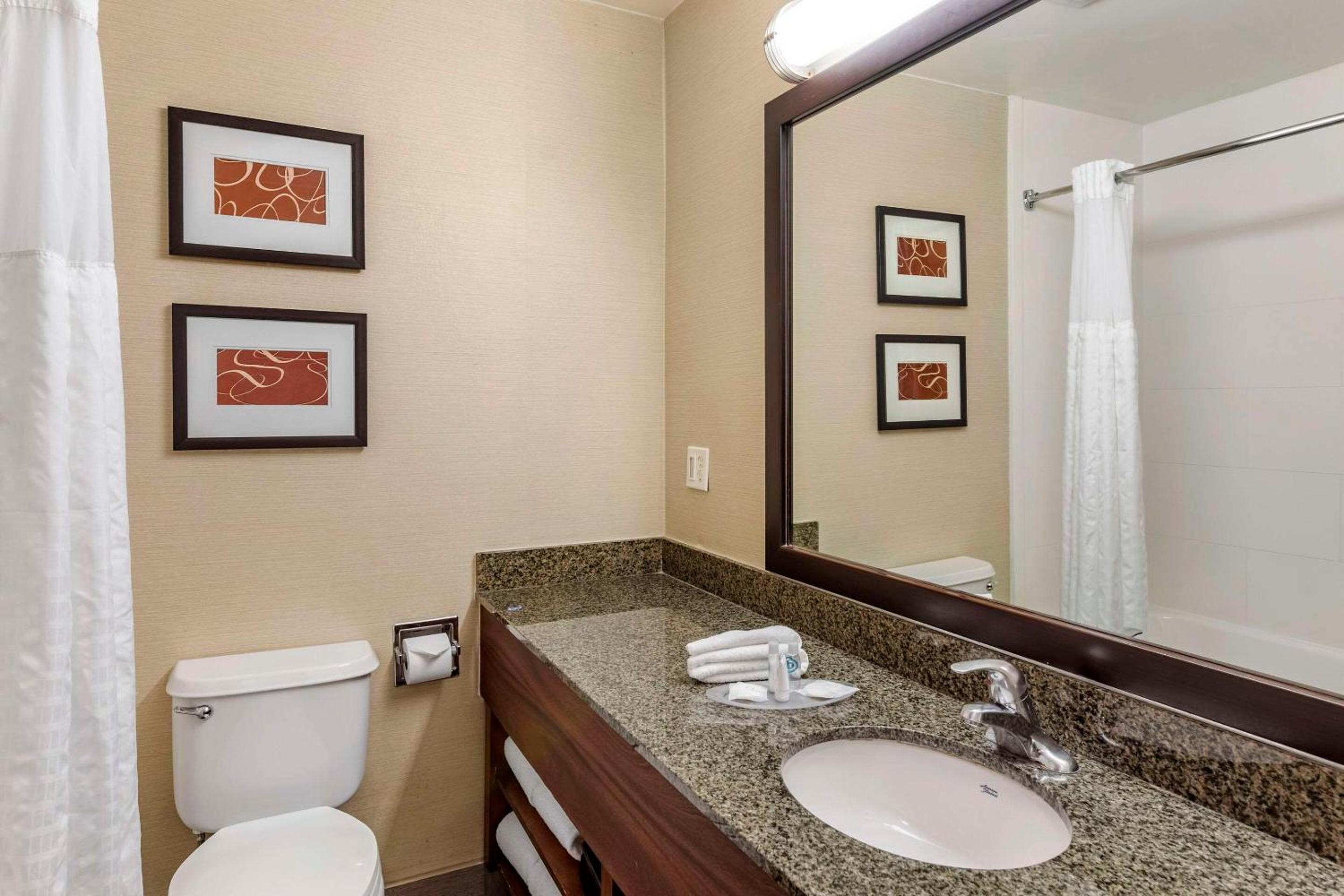 King Suite - Non-Smoking - Photo 4