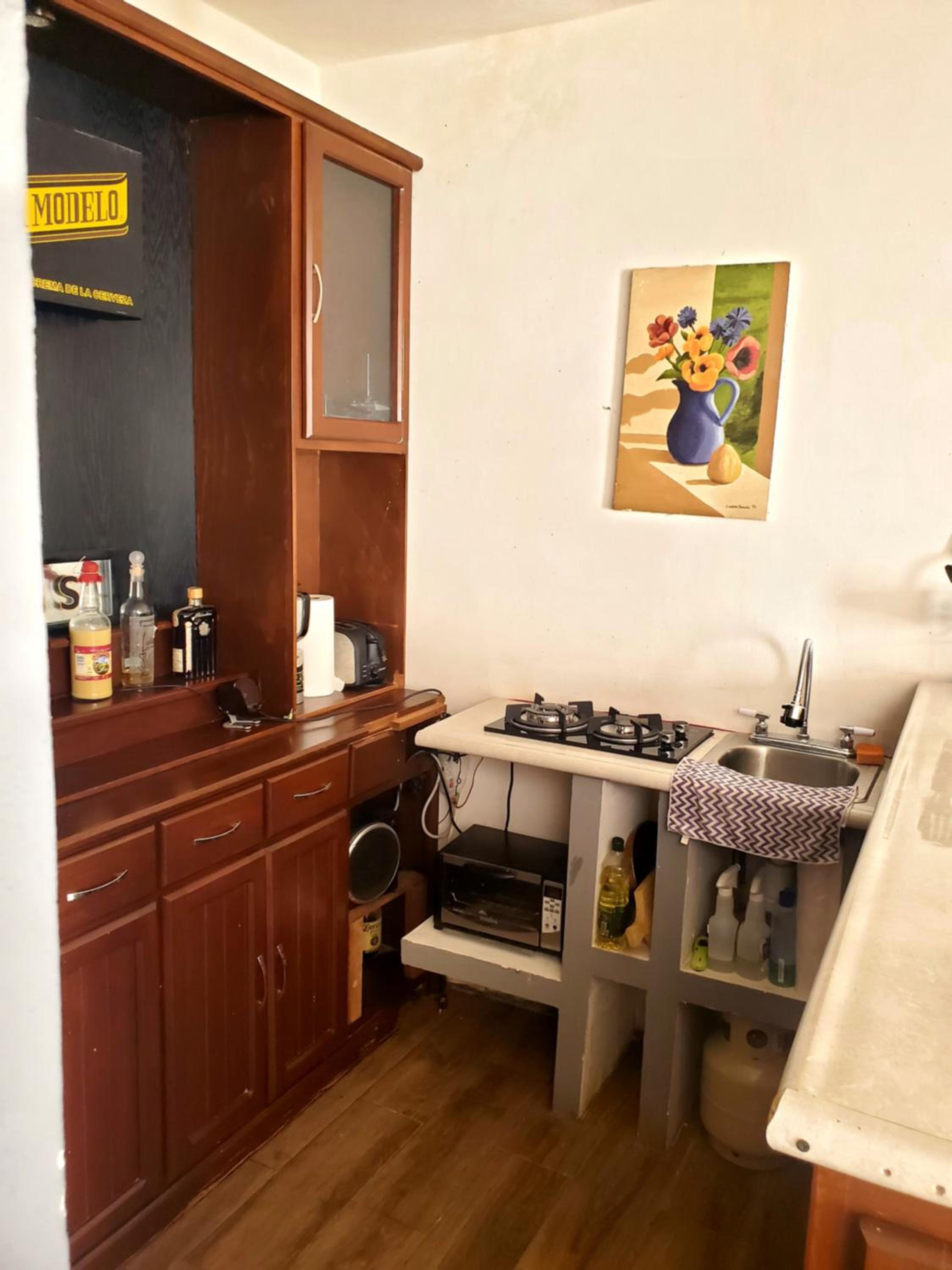 One-Bedroom House photo 3