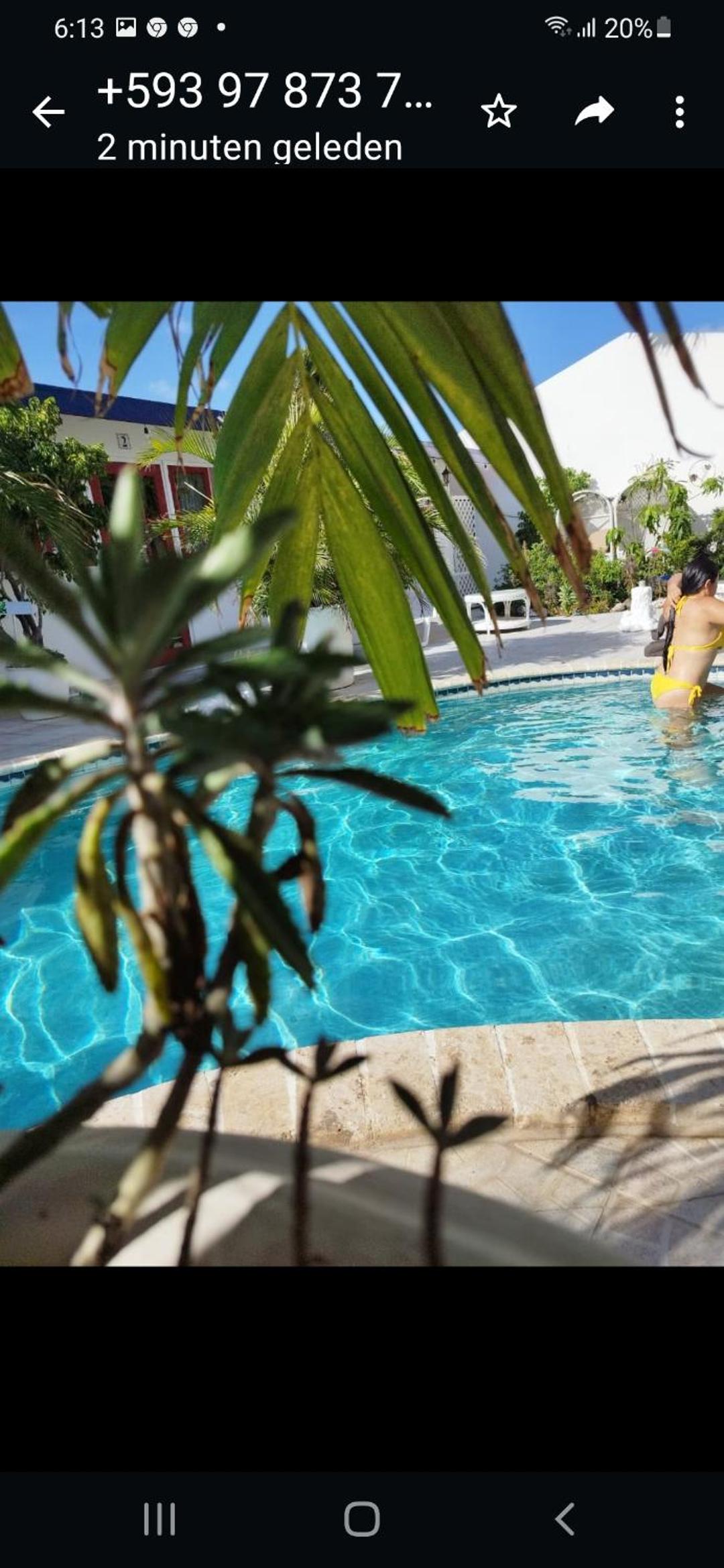Superior Double Or Twin Room With Pool View photo 2