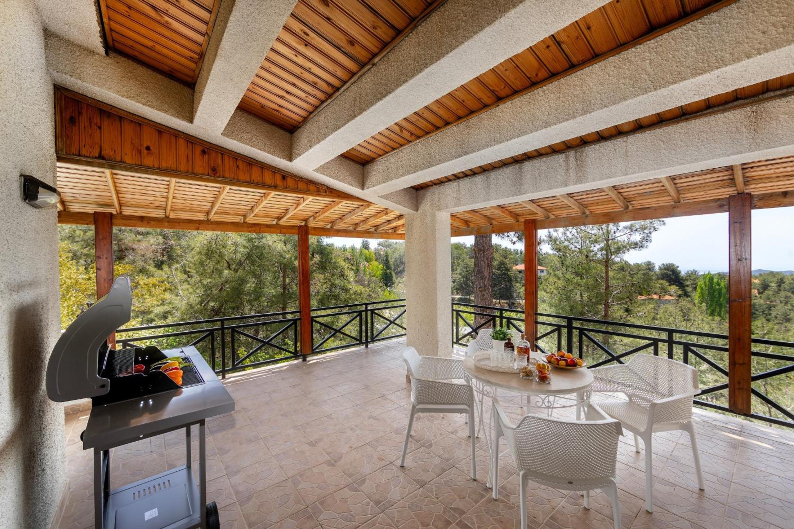 Three-Bedroom Villa photo 2