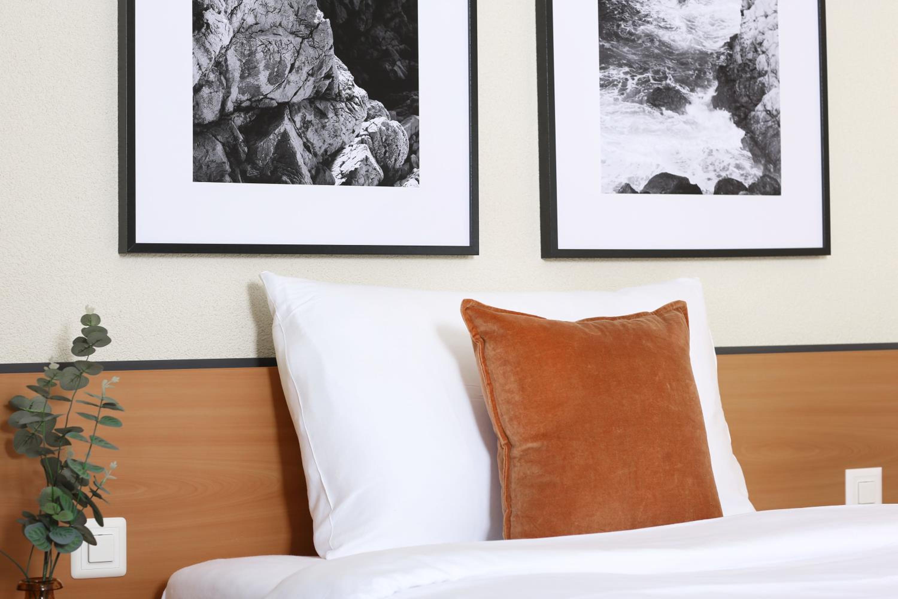 Single Room Superior photo 2