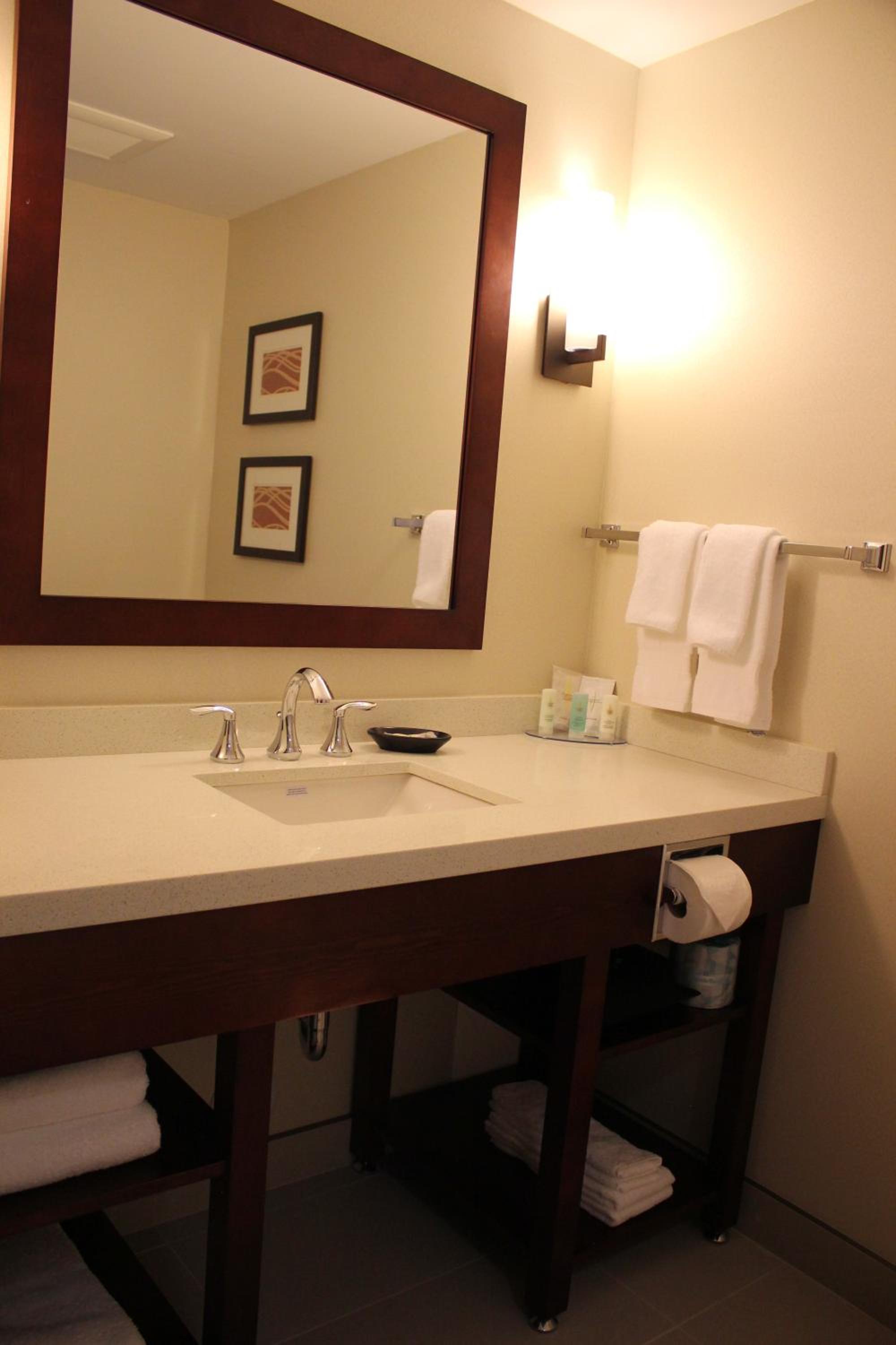 Executive King Suite with Sofa Bed photo 2