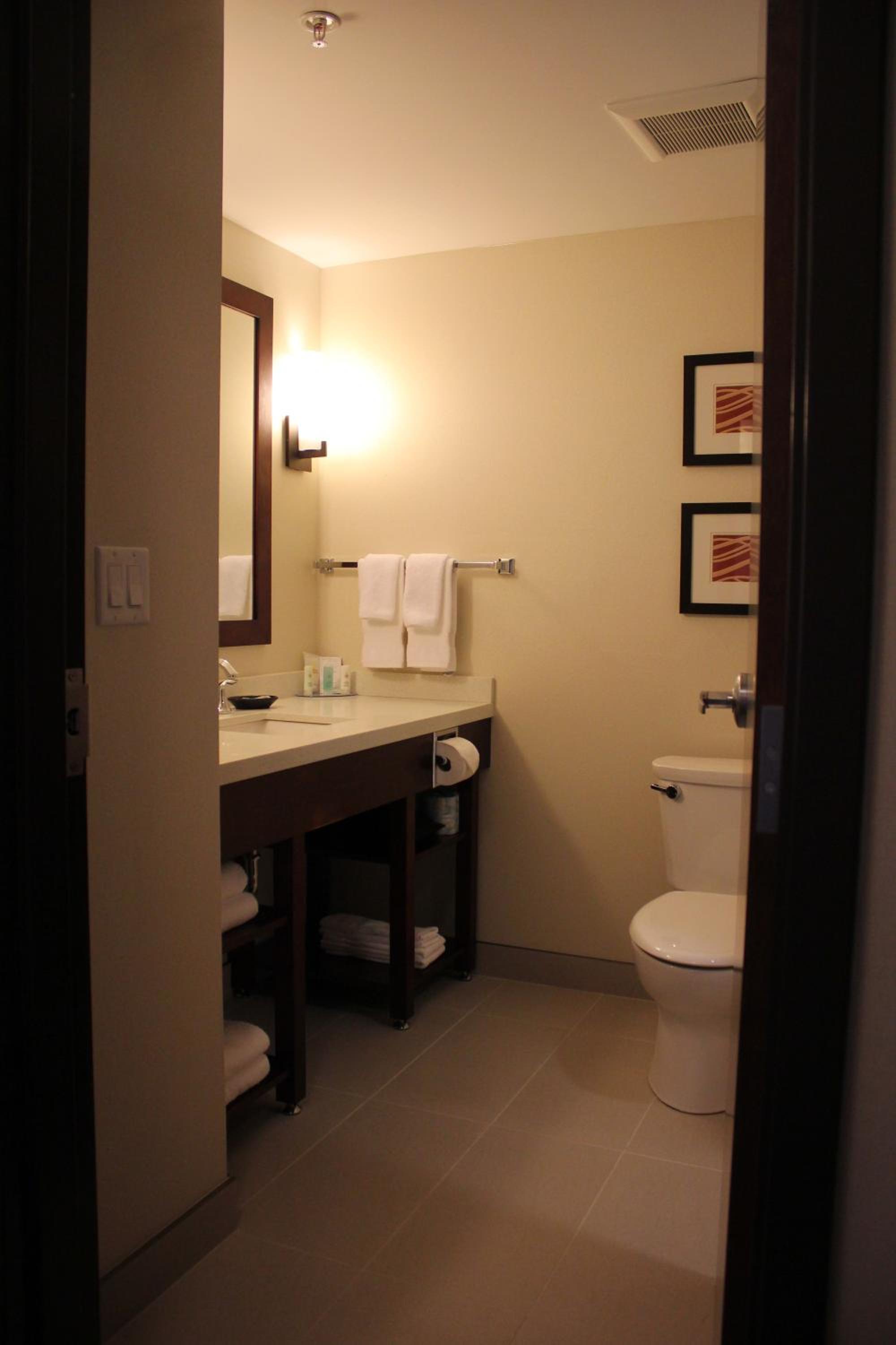 Executive King Suite with Sofa Bed photo 3