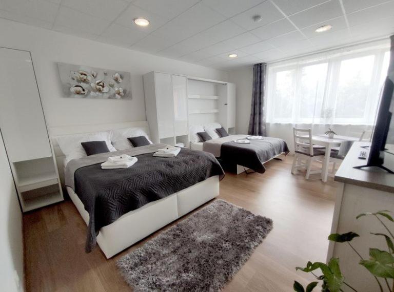 Quadruple Room photo 3