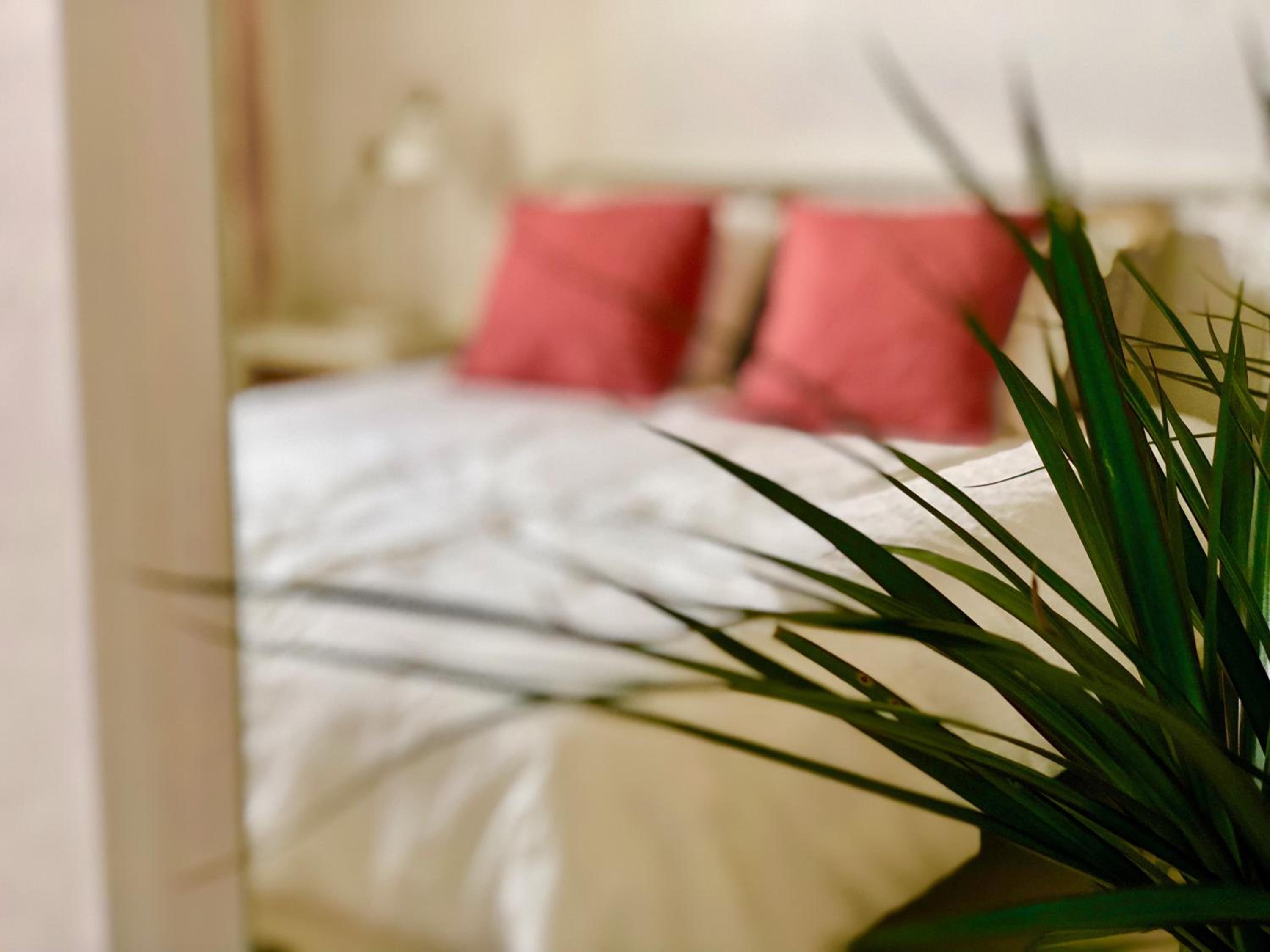 Apartamento Estudio