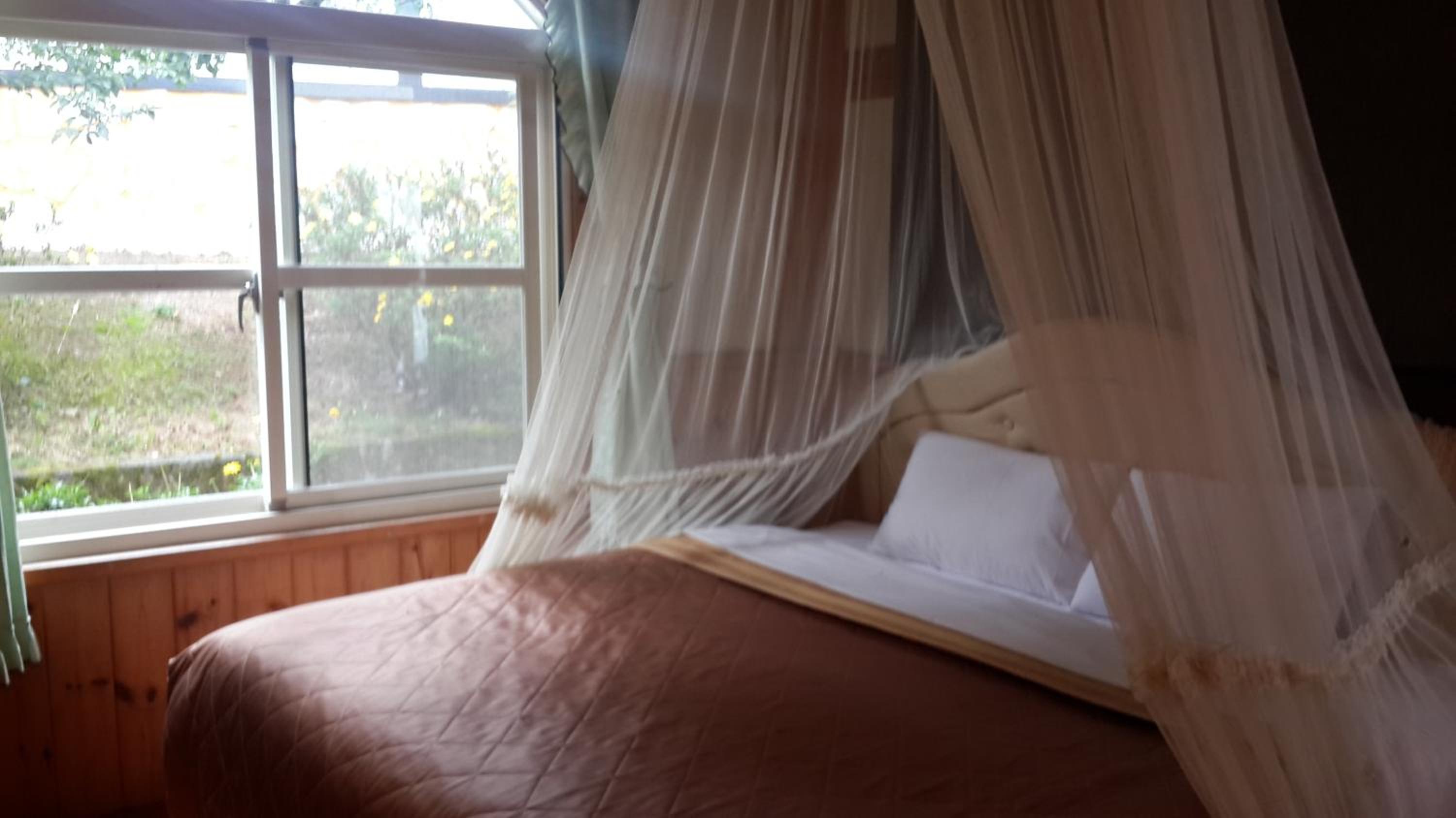 Double Room with Mountain View