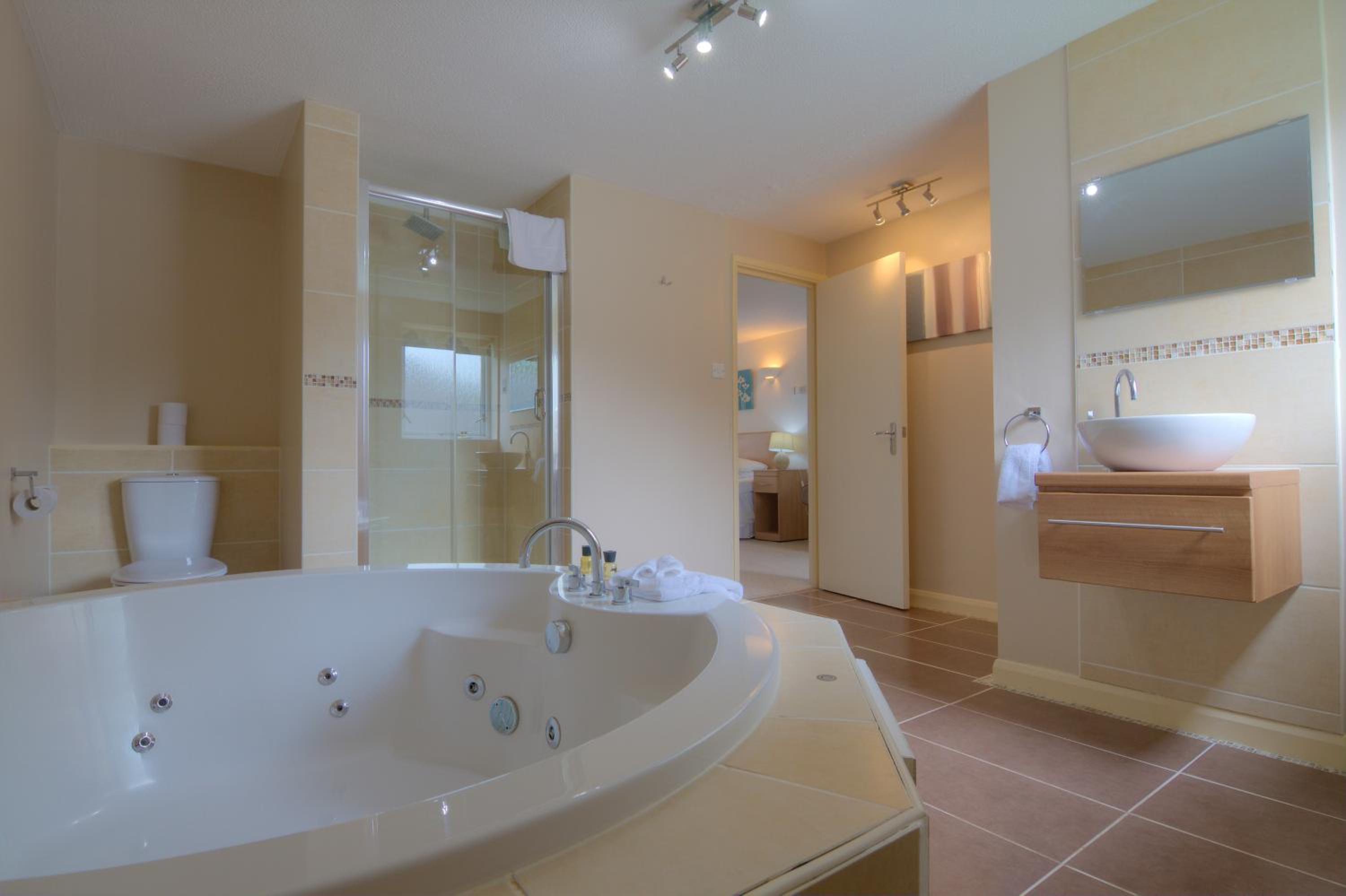 Deluxe Suite - Photo 4