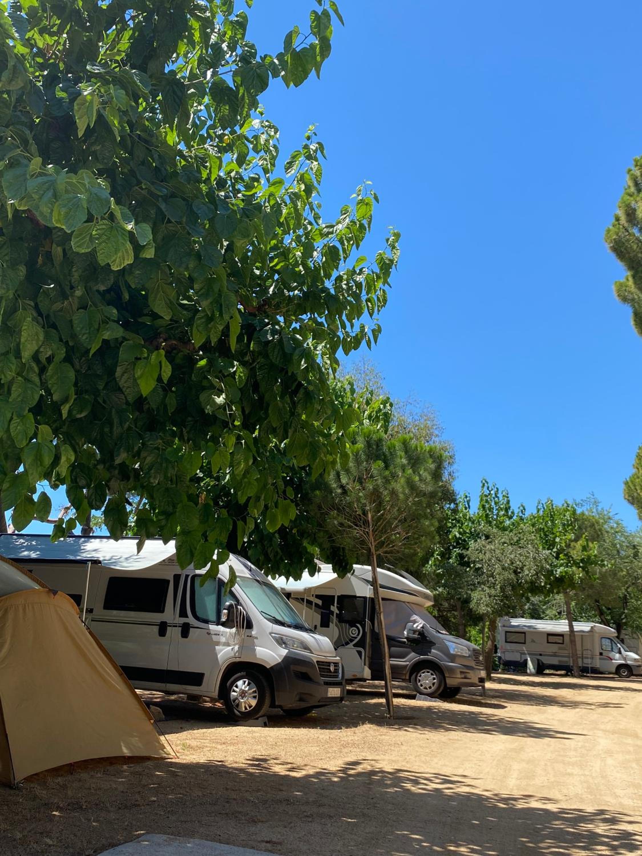 Empty spot (bring your own tent or caravan) photo 2