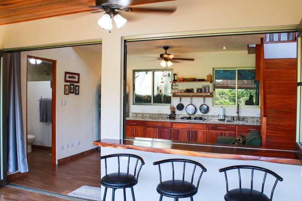 One-Bedroom House photo 3