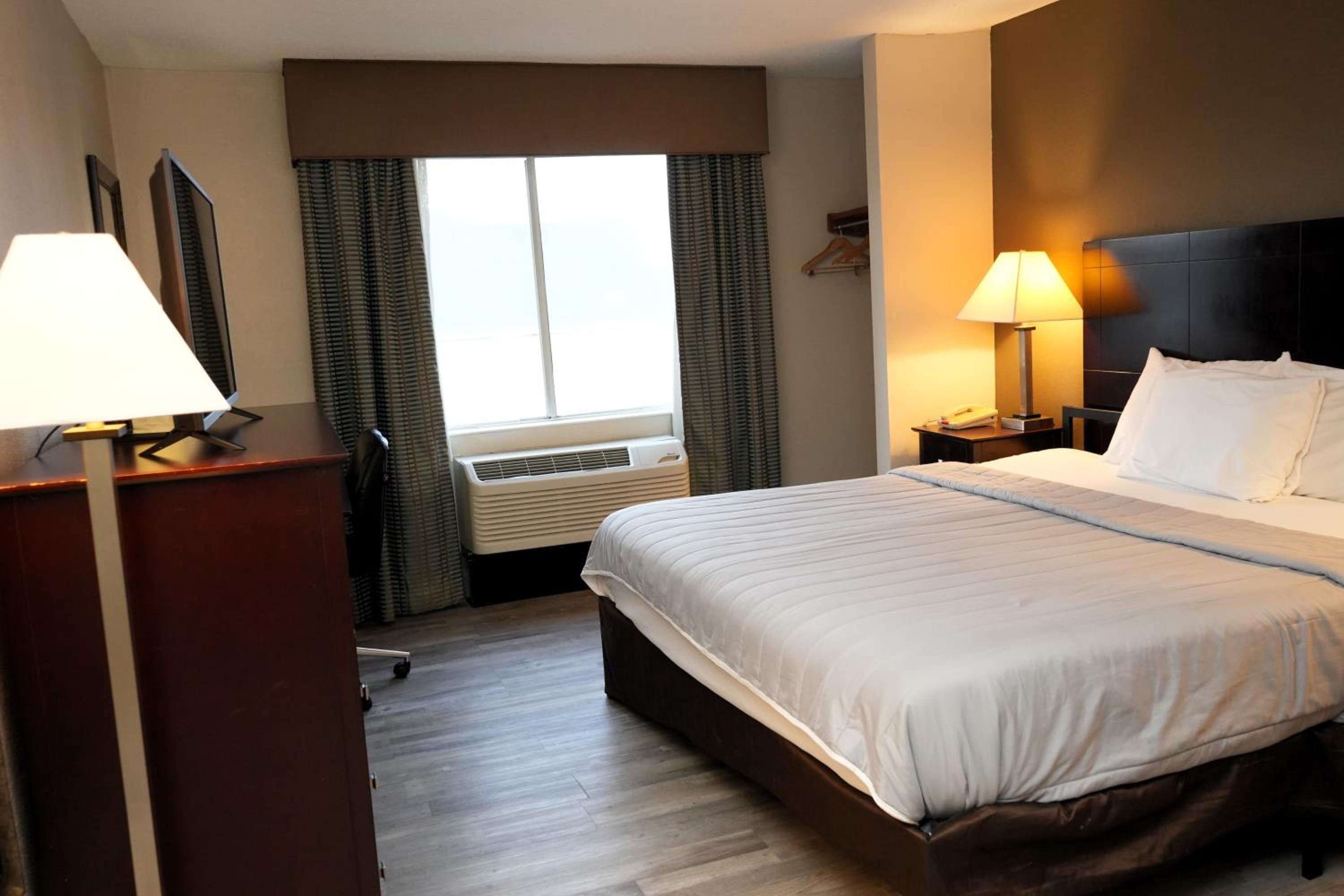 King Room - Disability Access photo 3