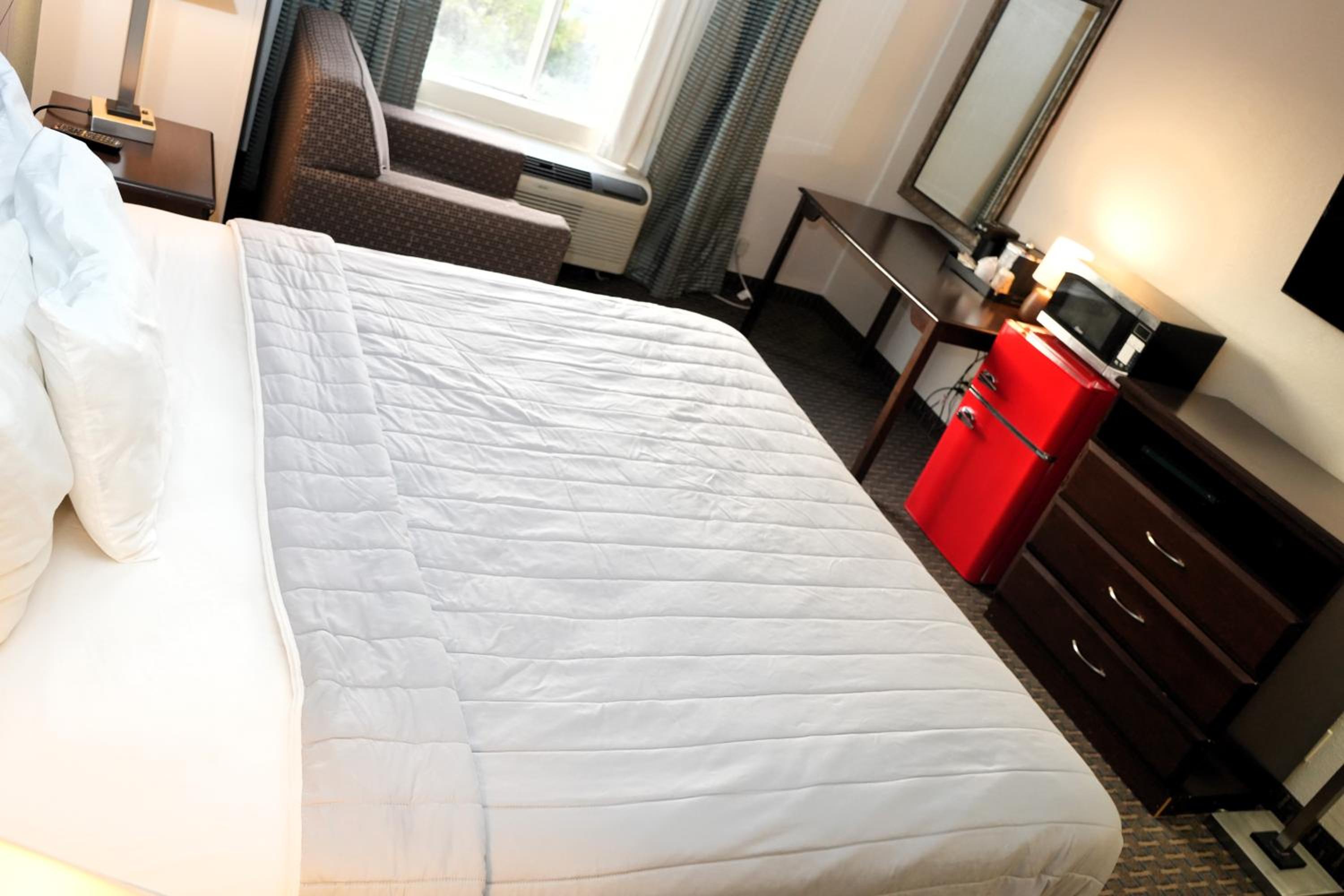 Suite - King Bed - Photo 4