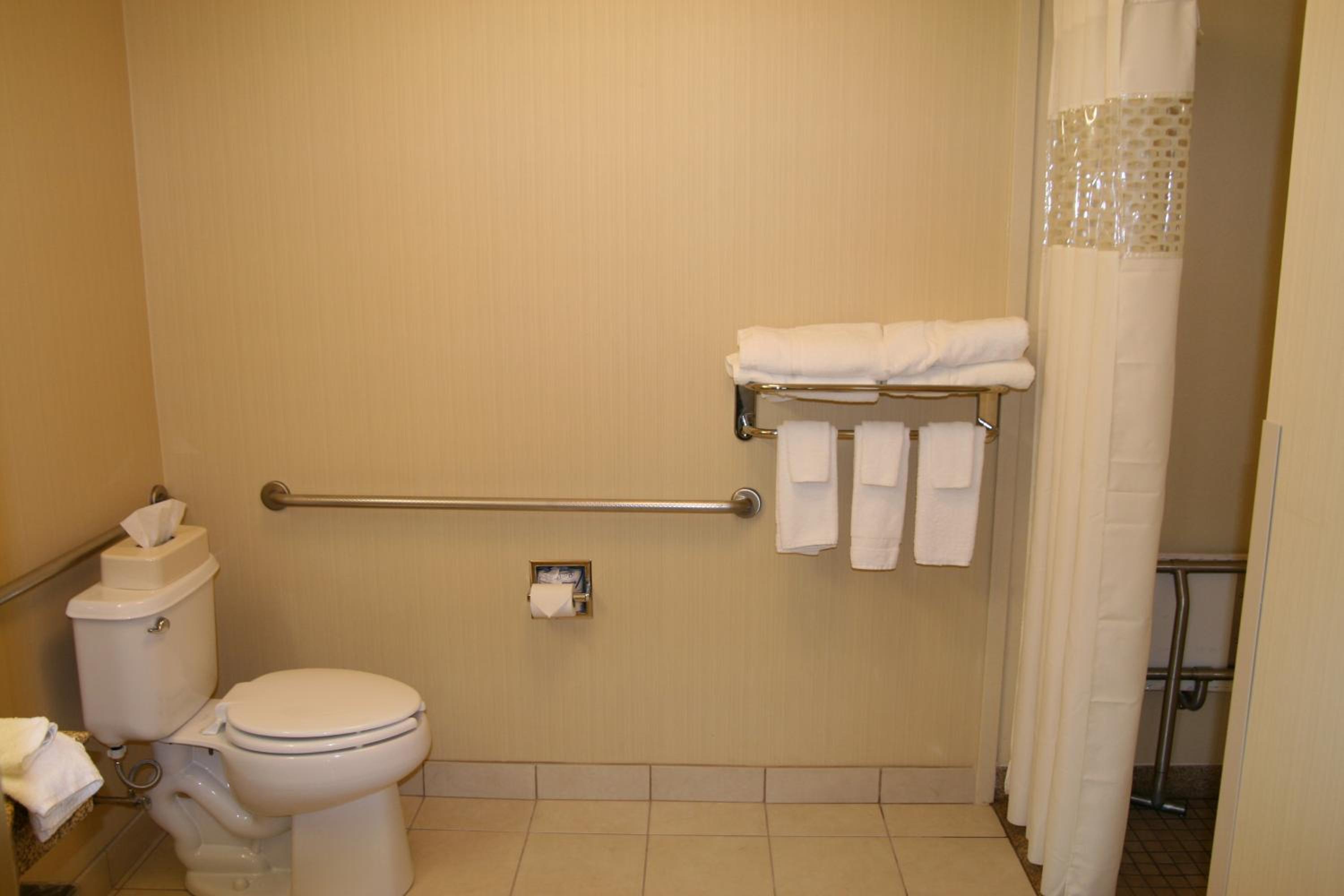 King Studio with Roll-In Shower - Mobility and Hearing Access/Non-Smoking - Photo 4