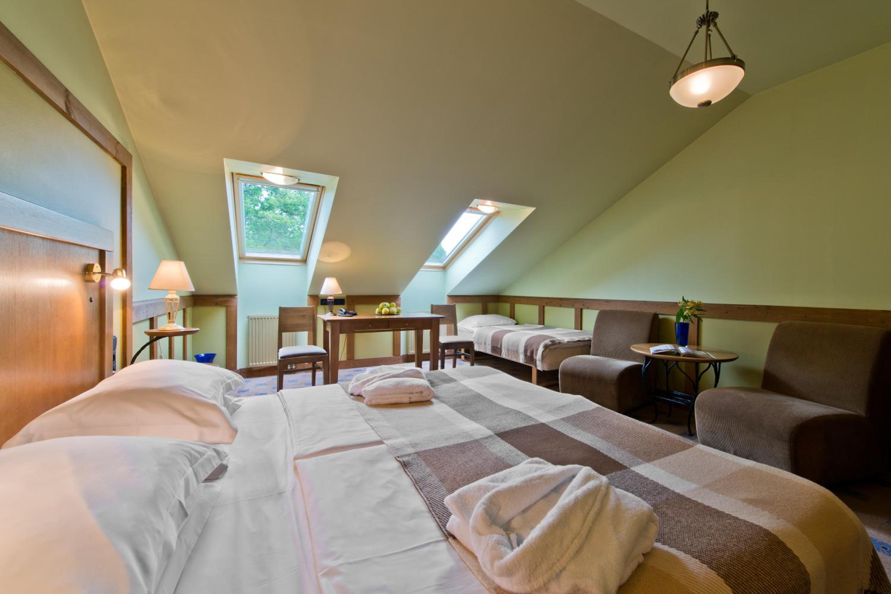 Double or Twin Room with Sauna and Jacuzzi access - Photo 12