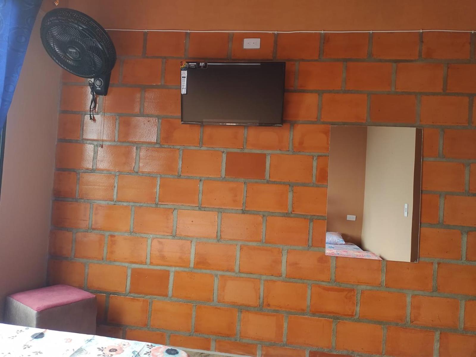 Twin Room photo 2