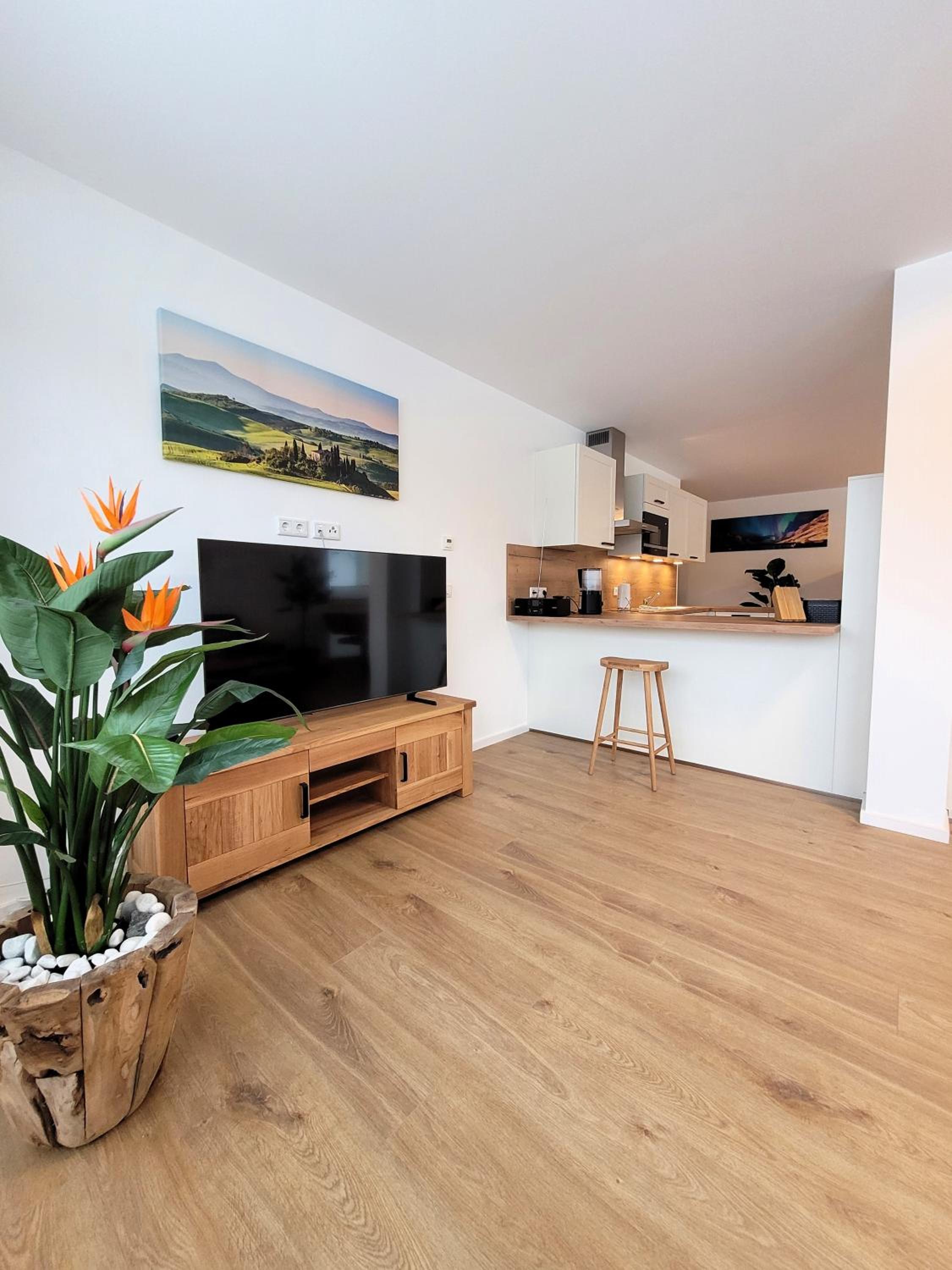 Apartment with Terrace photo 2
