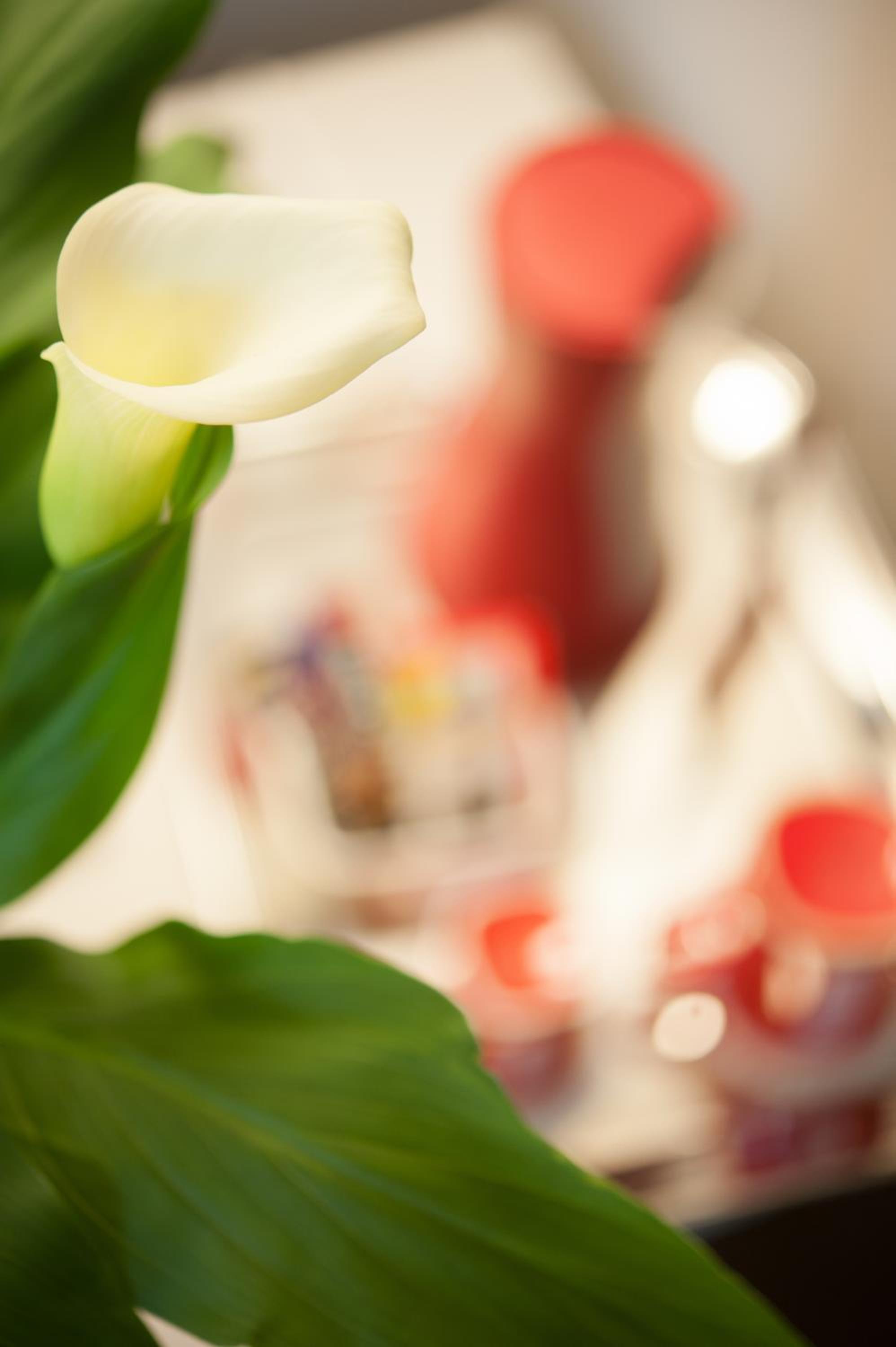 Suite - Photo 6