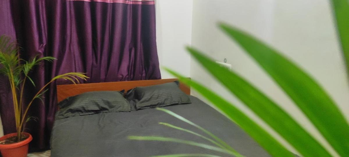 Deluxe Room photo 2