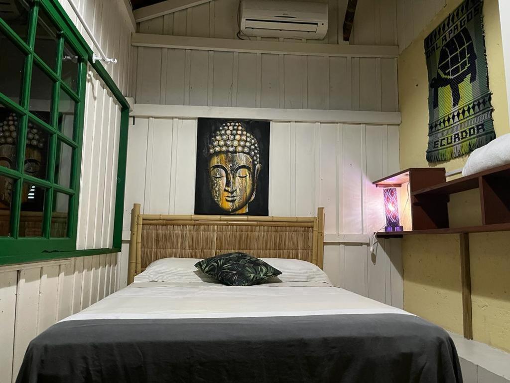 One-Bedroom House photo 2