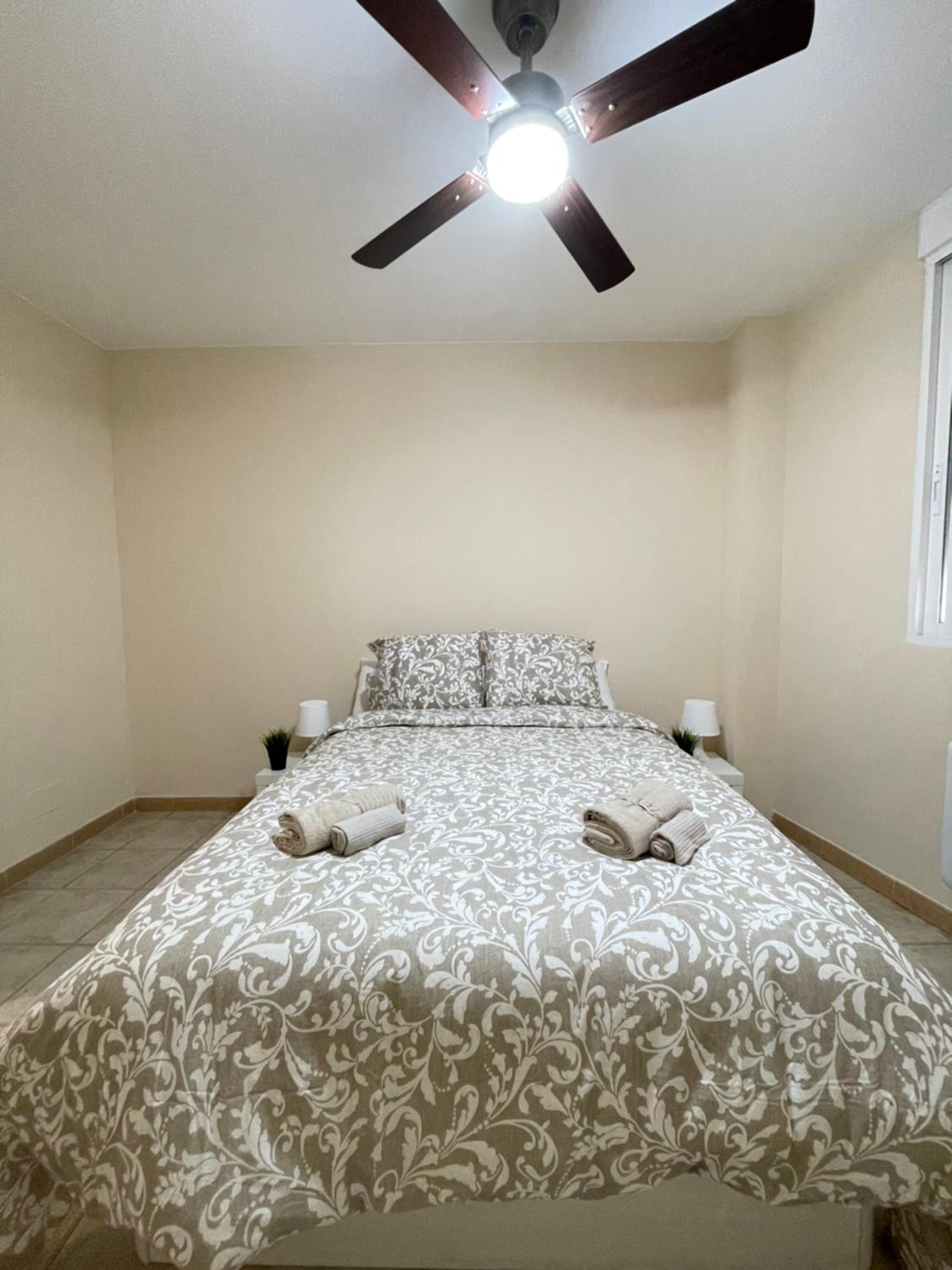 One-Bedroom Apartment photo 3