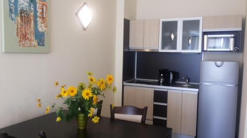 Studio with Balcony (2 adults+1 child) photo 3