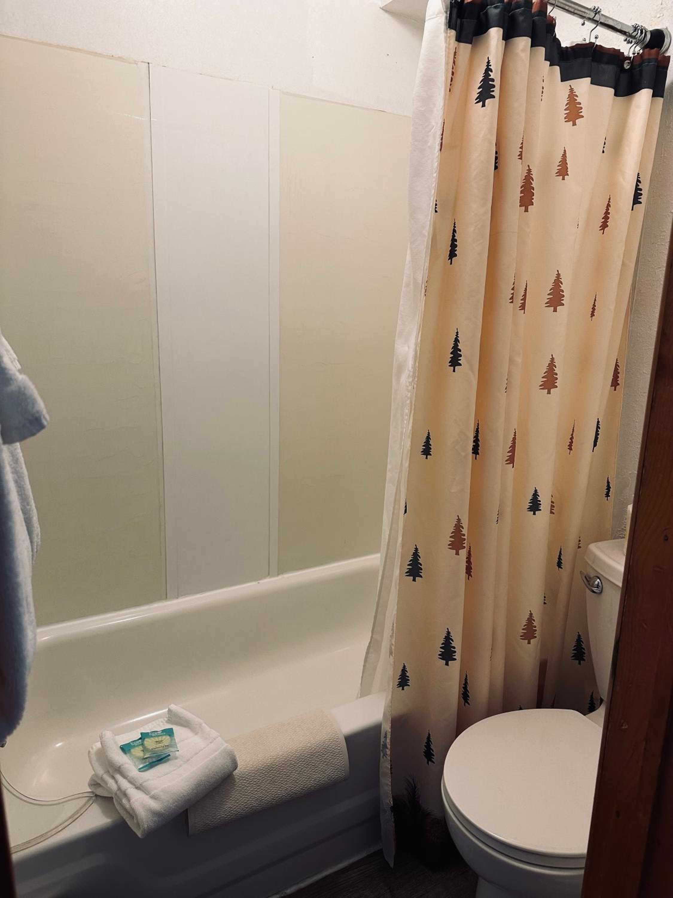Queen Room photo 3
