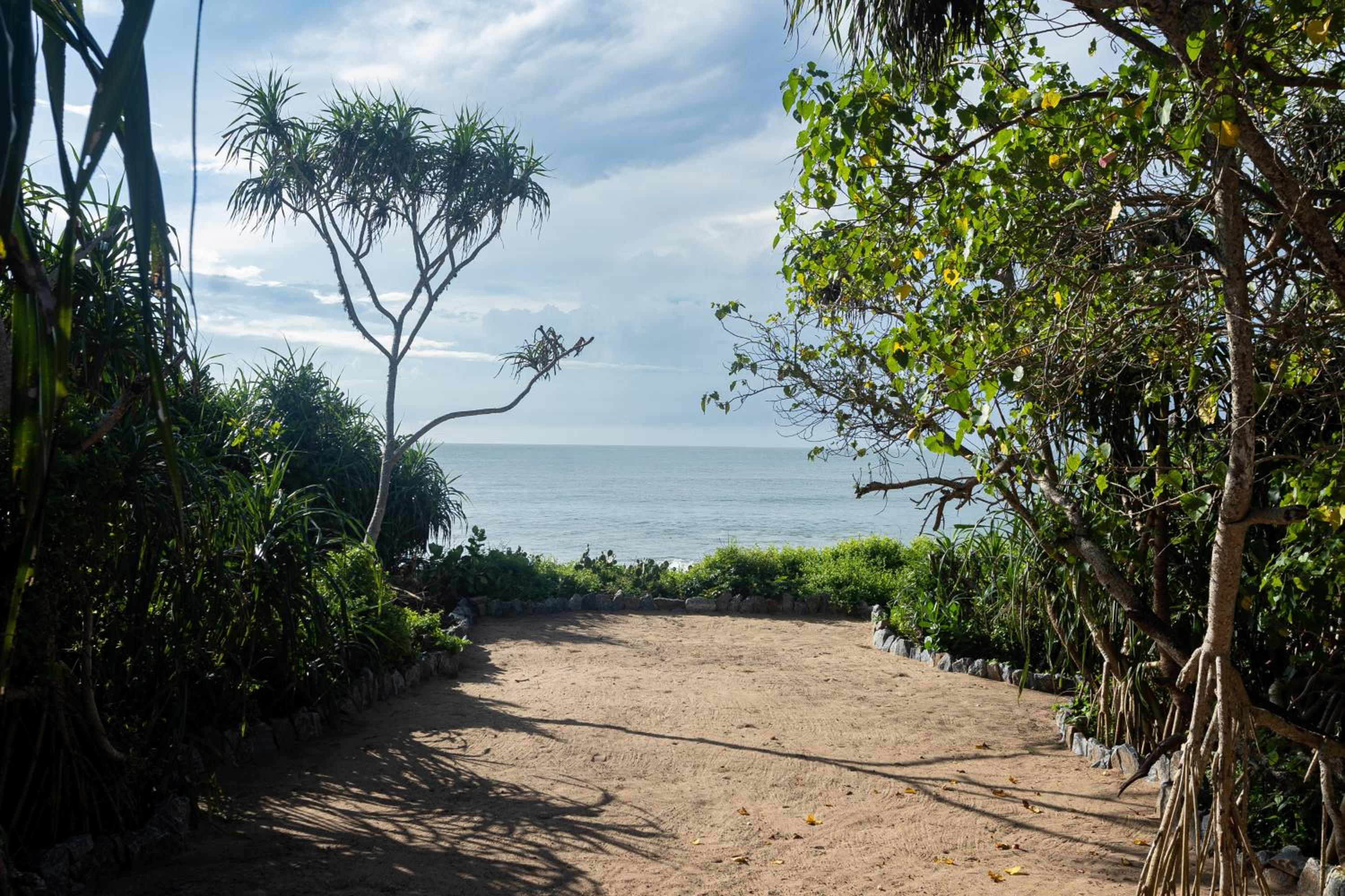  Terrace Suite with Sea View - Photo 7