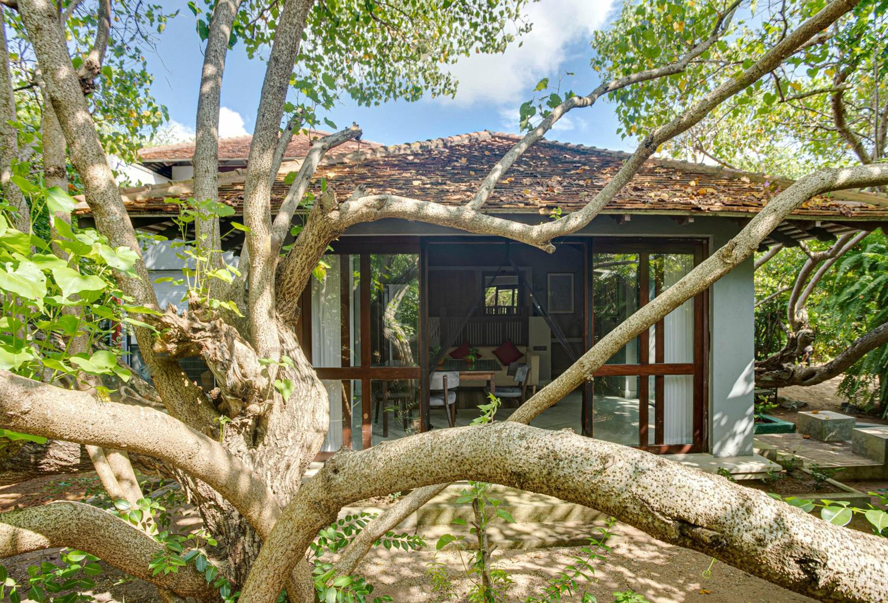  Honeymoon Suite with Plunge pool - Photo 3
