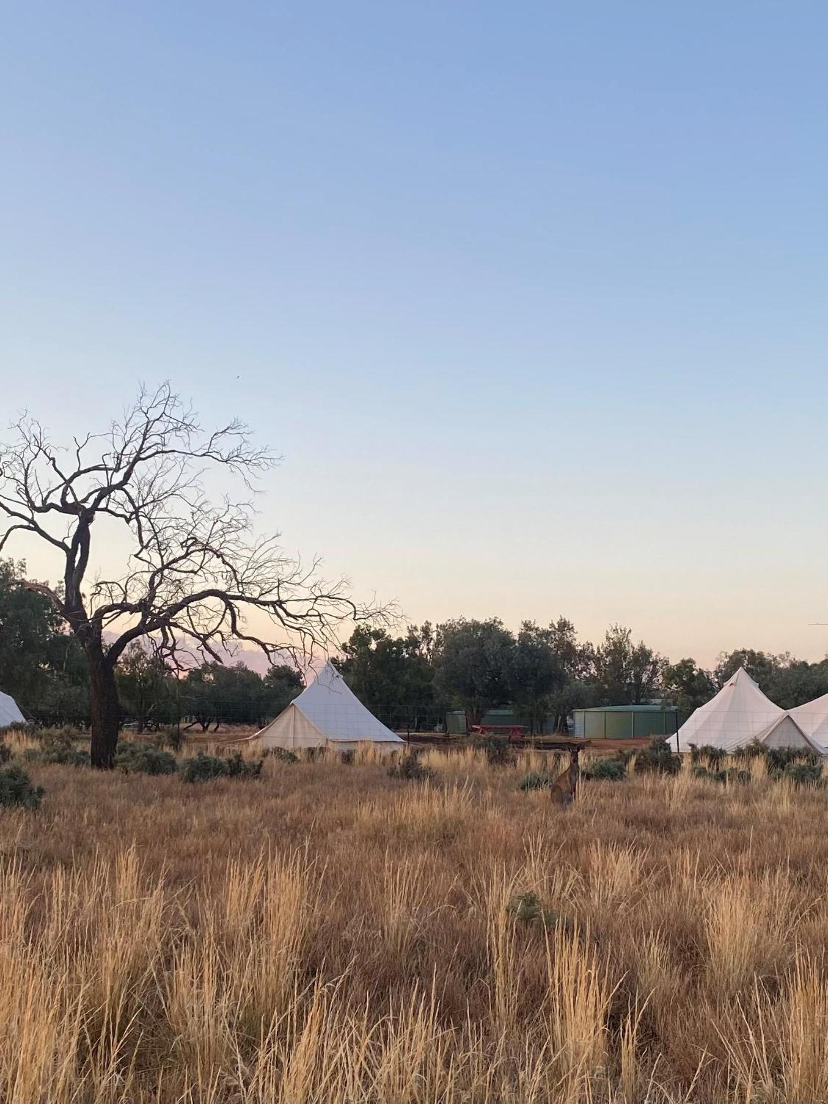 Tent photo 3