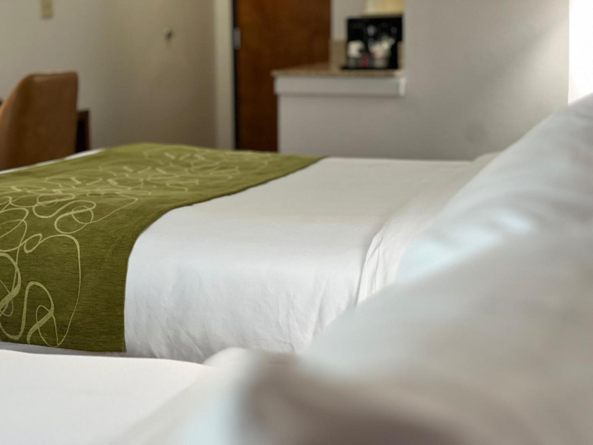 Double Suite with Two Double Beds - Non Smoking - Photo 20