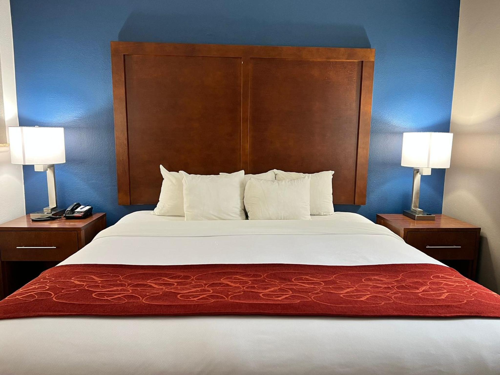 King Suite with Sofa Bed - Photo 15