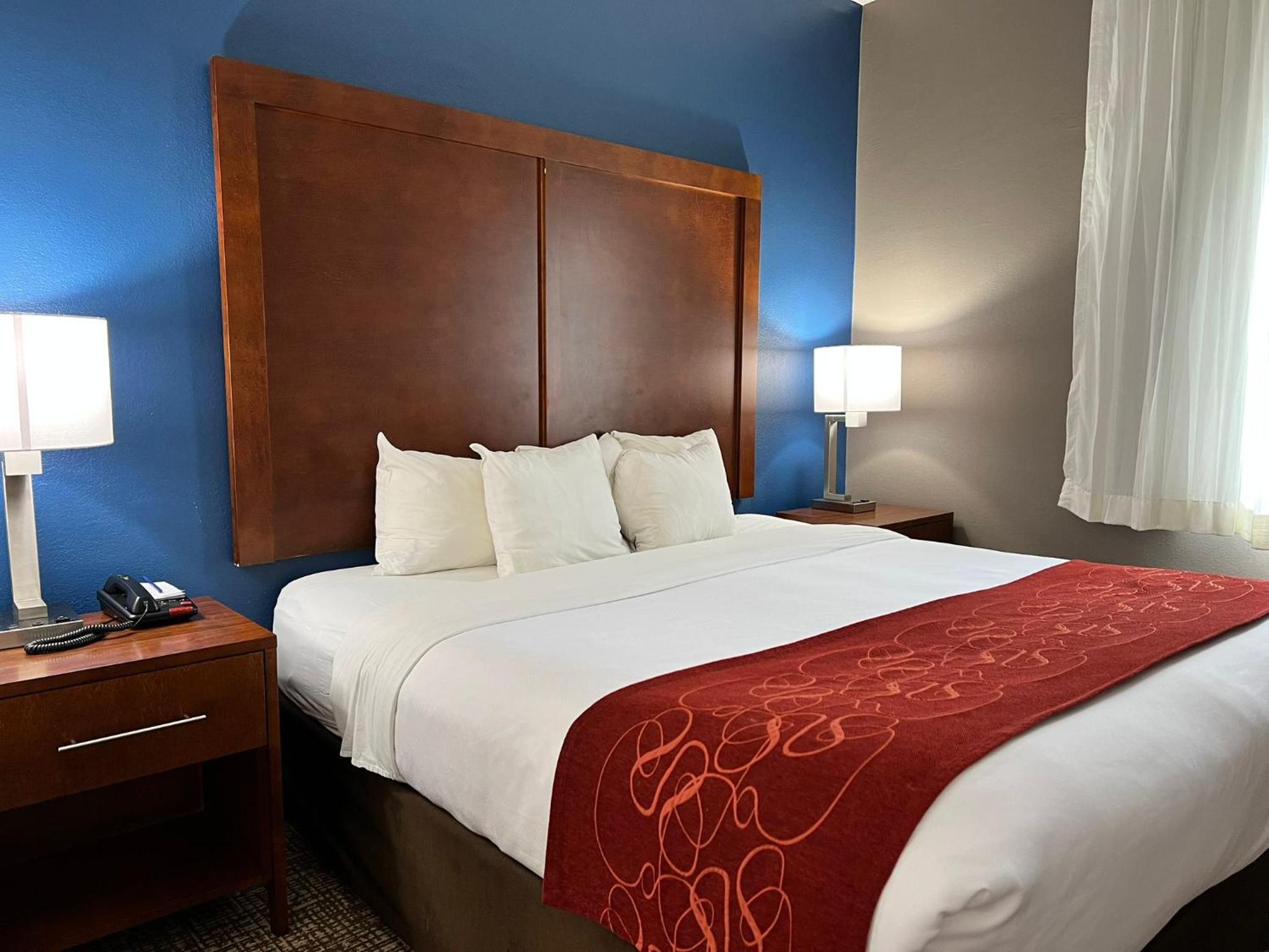 King Suite with Sofa Bed - Photo 2