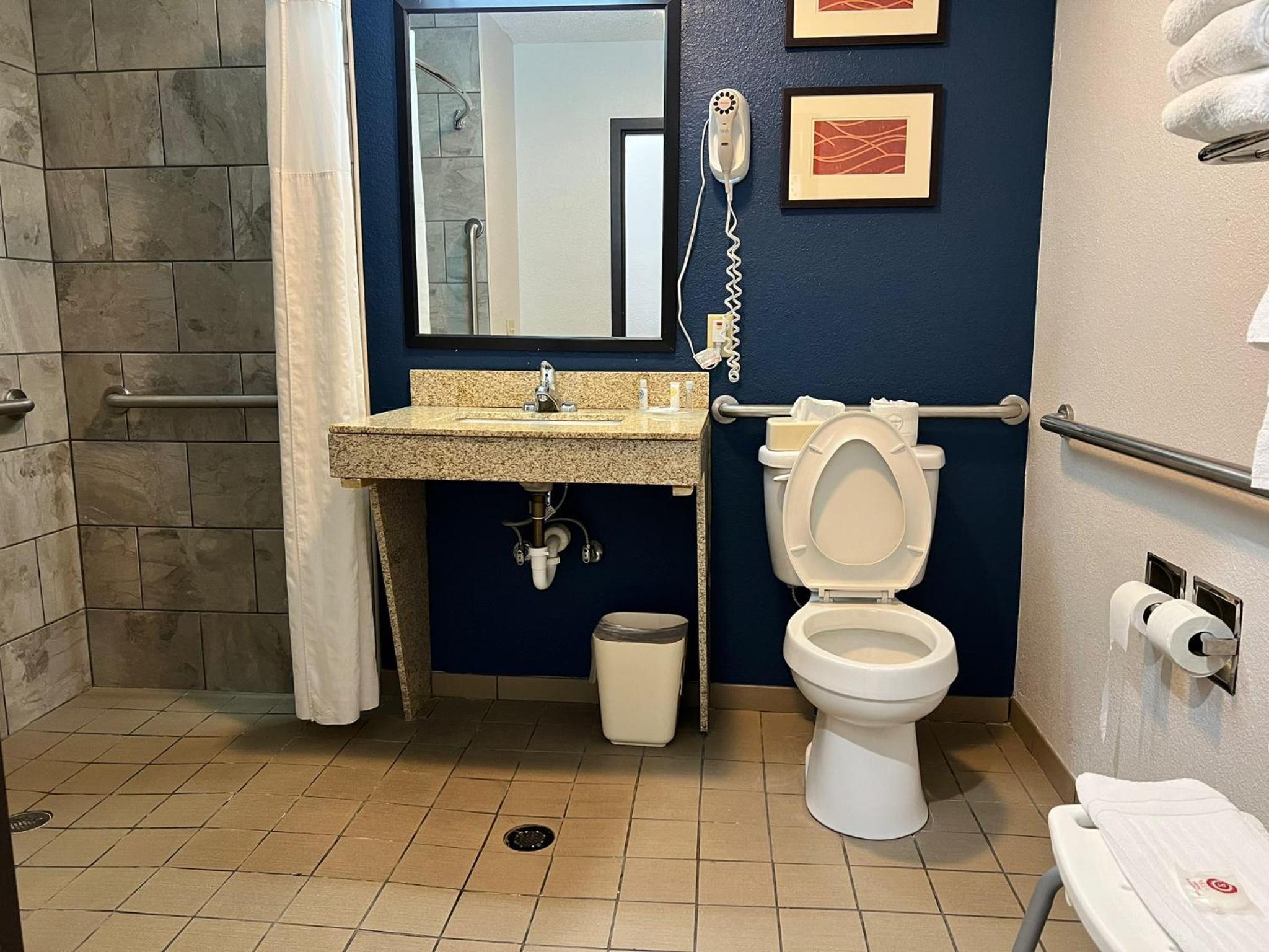 King Suite - Accessible/Non-Smoking - Photo 30
