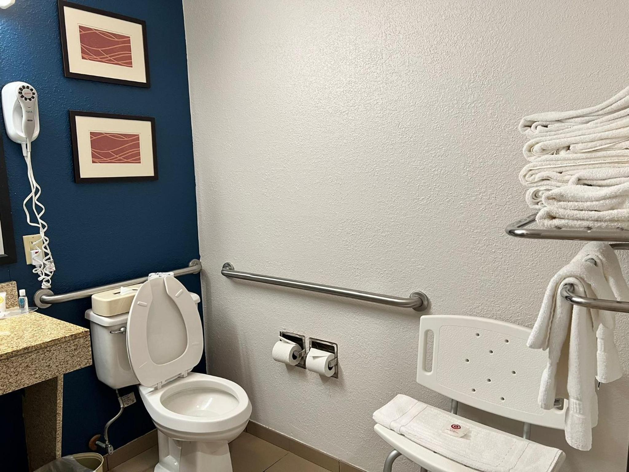 King Suite - Accessible/Non-Smoking - Photo 44