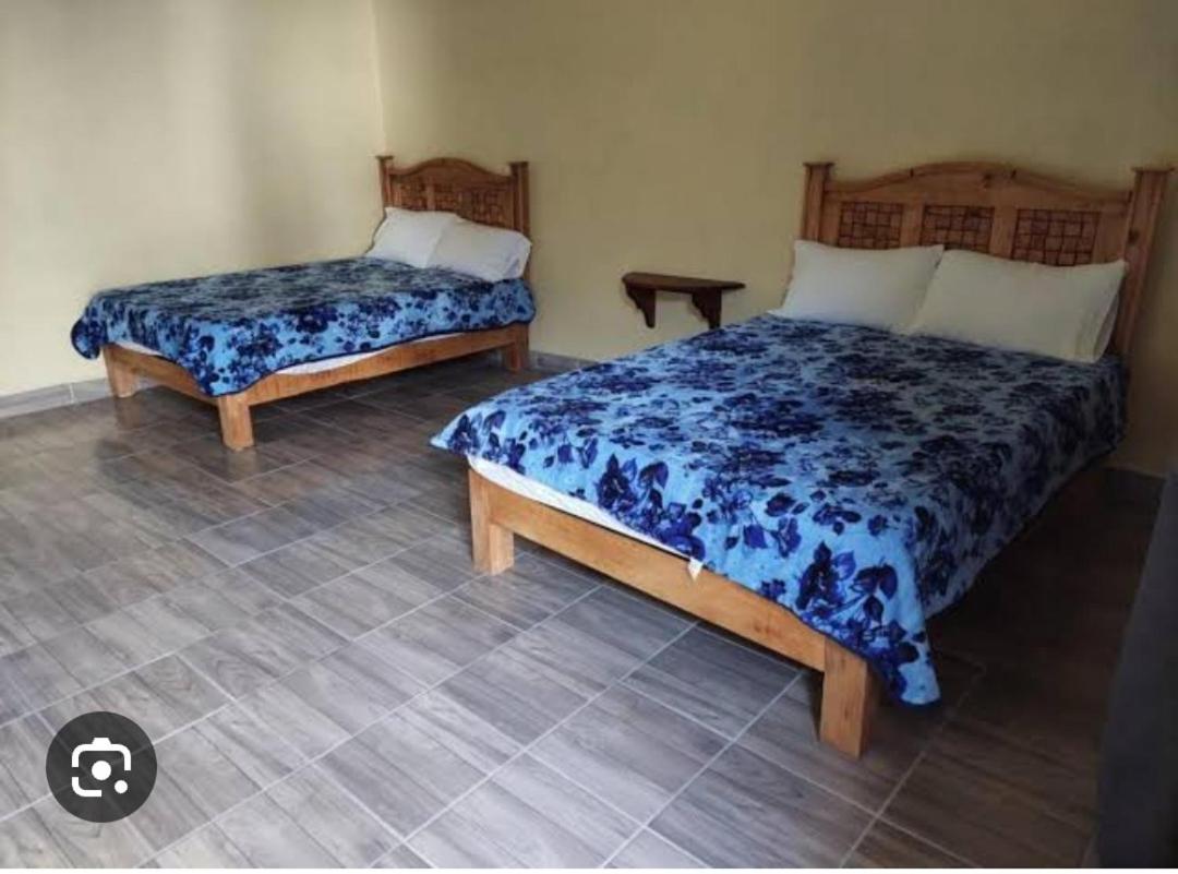 Twin Room photo 1