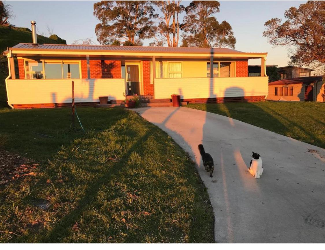 Vacation Home photo 3