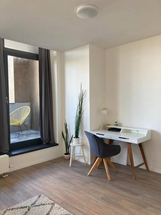 One-Bedroom Apartment photo 3