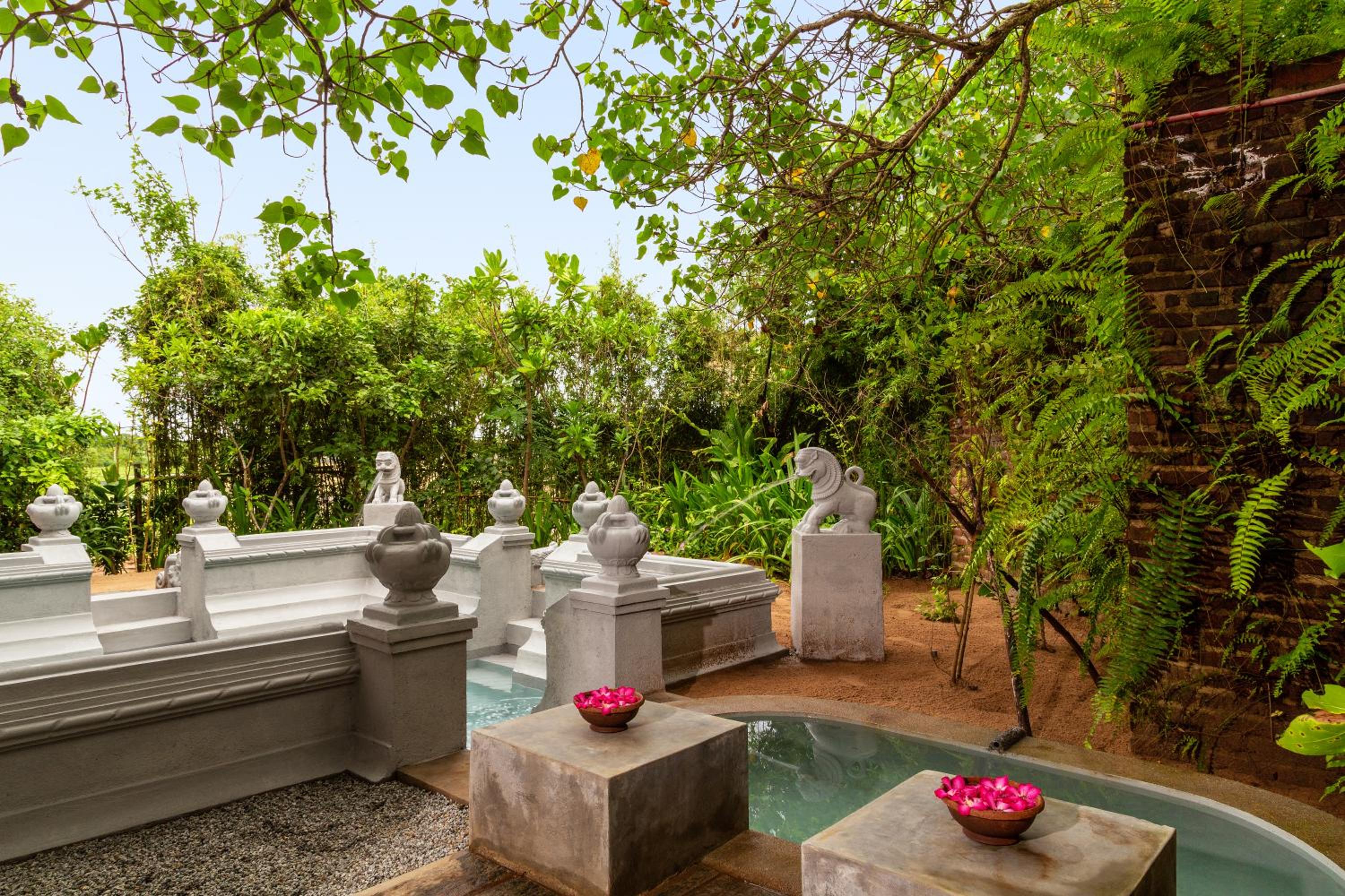 Terrace Suite with Plunge pool - Photo 2