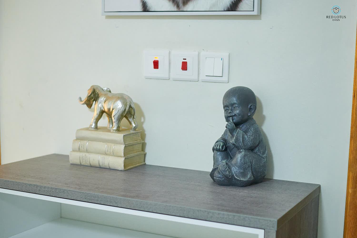 Superior Apartment photo 3