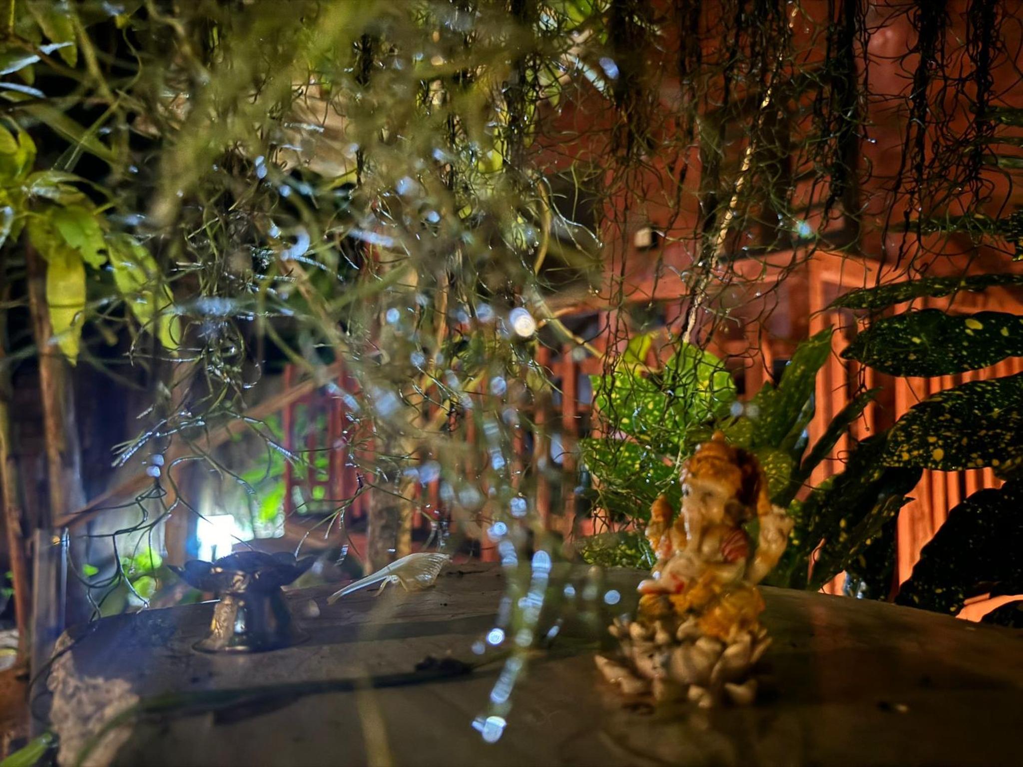 Jungle Cabana photo 3