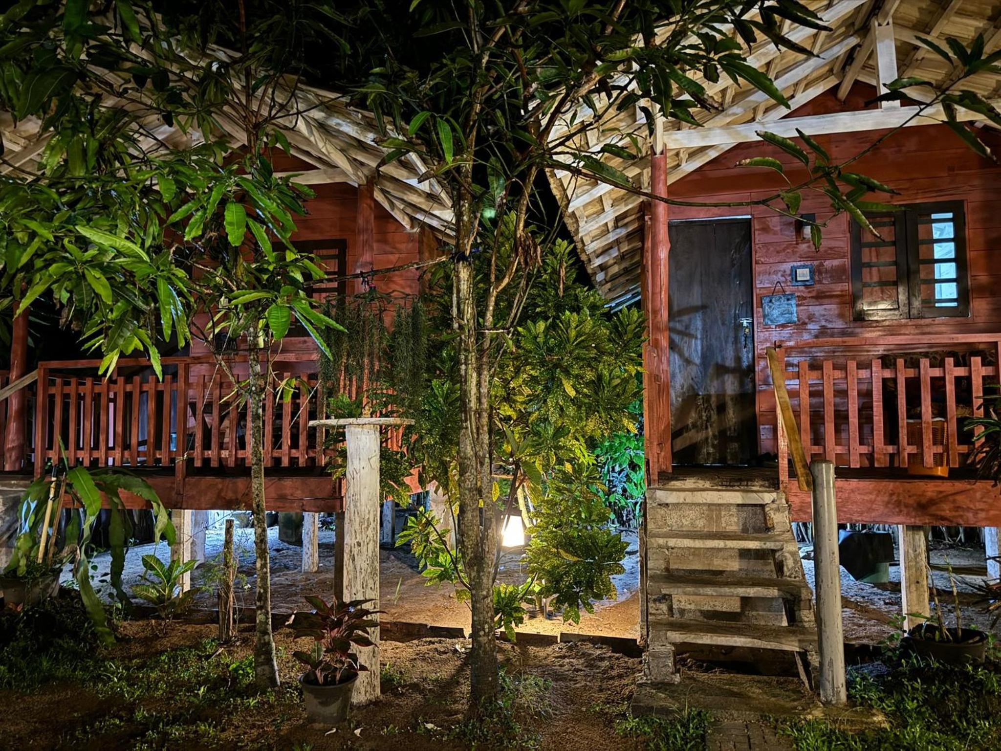 Jungle Cabana photo 2