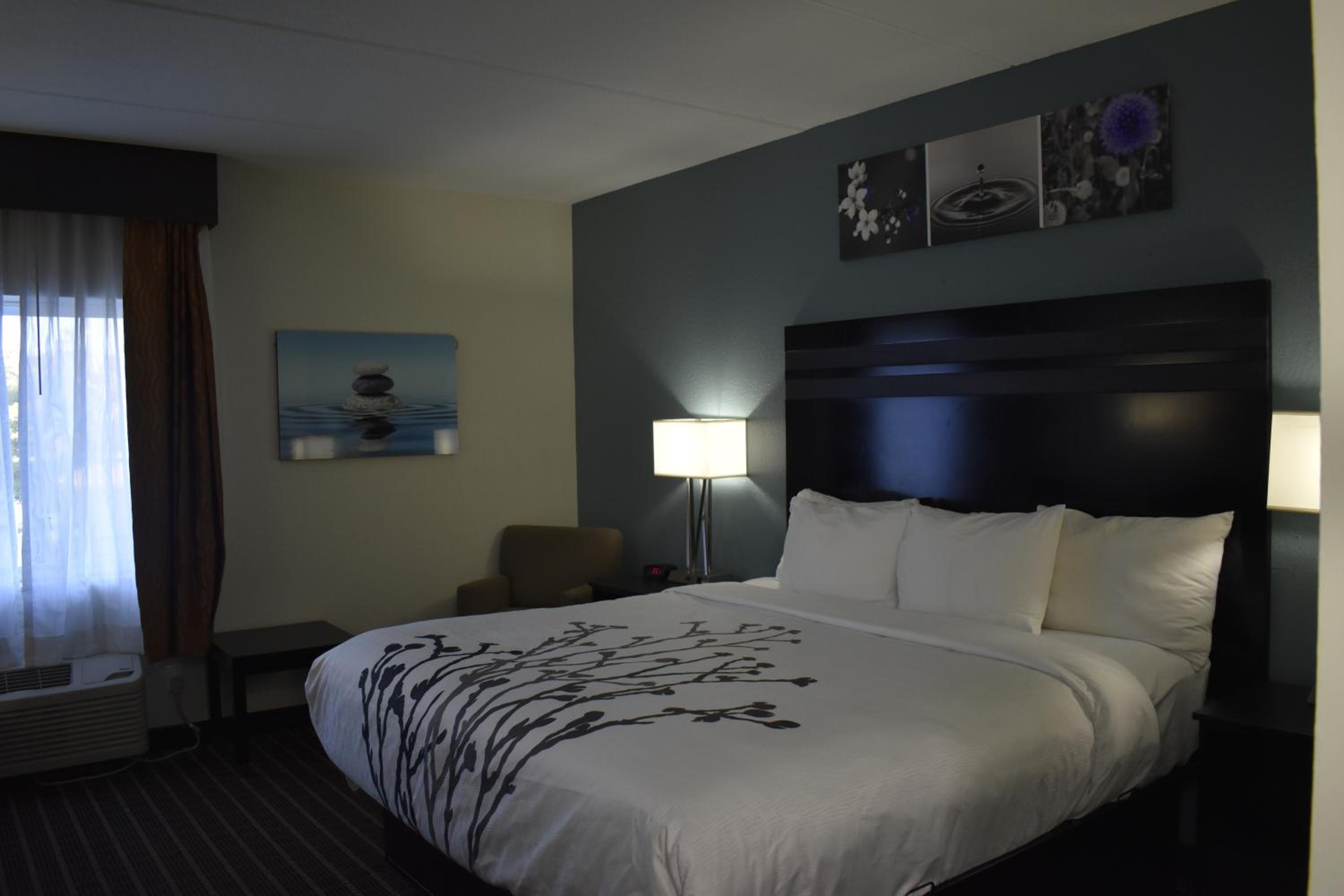 Queen Room - Accessible/Nonsmoking - Photo 7