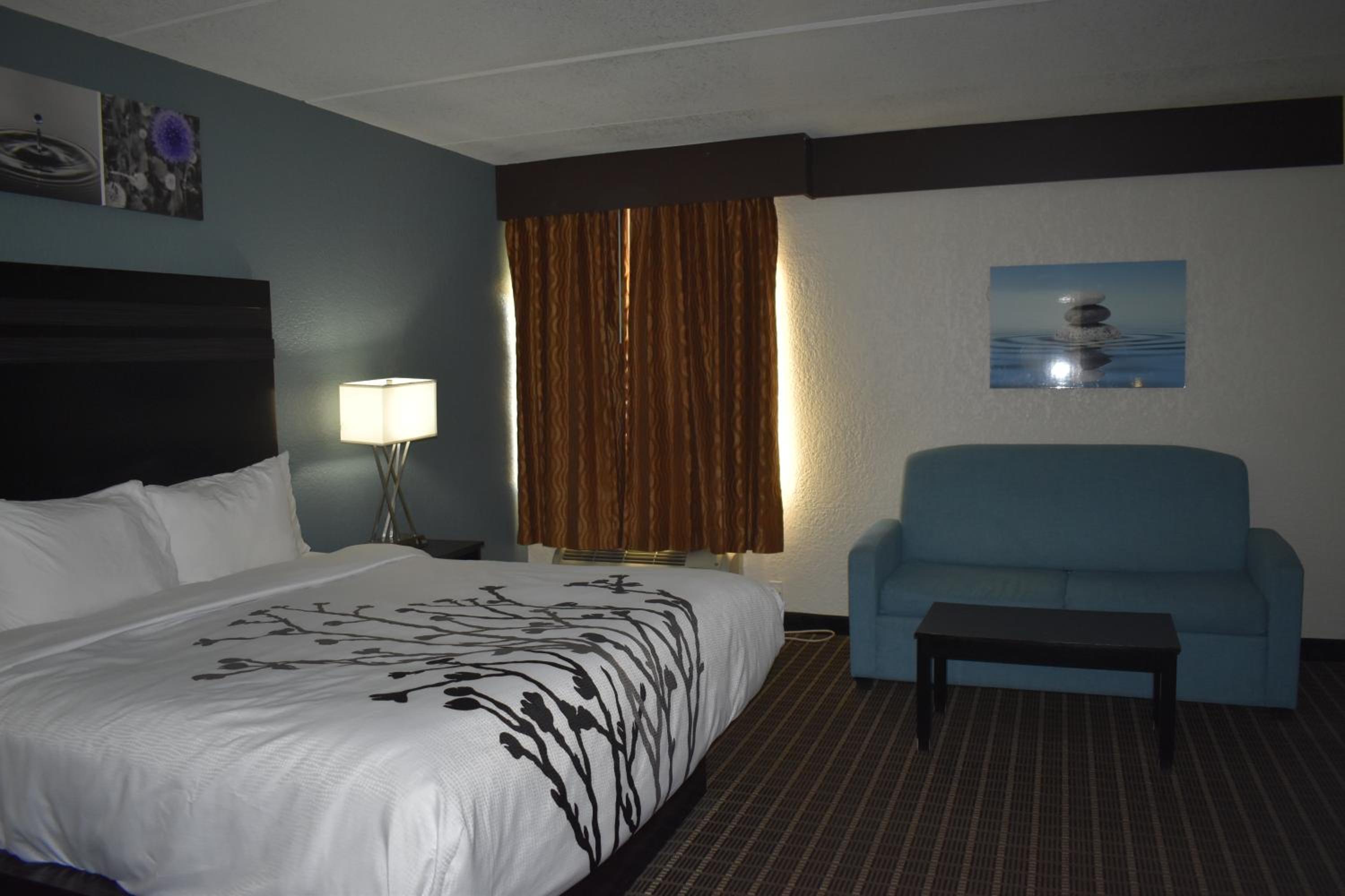 King Suite - Non-Smoking - Photo 21
